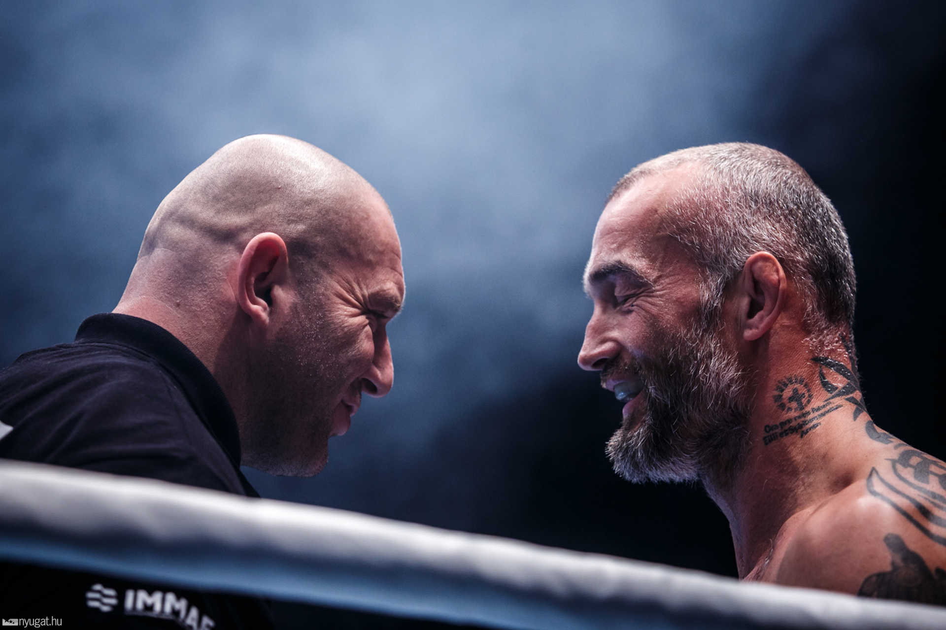 Fight Arena