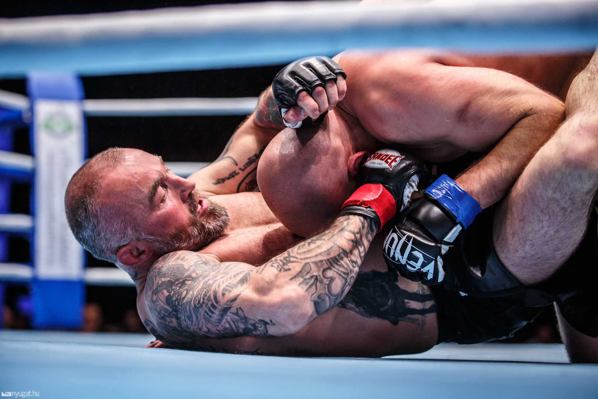 Fight Arena