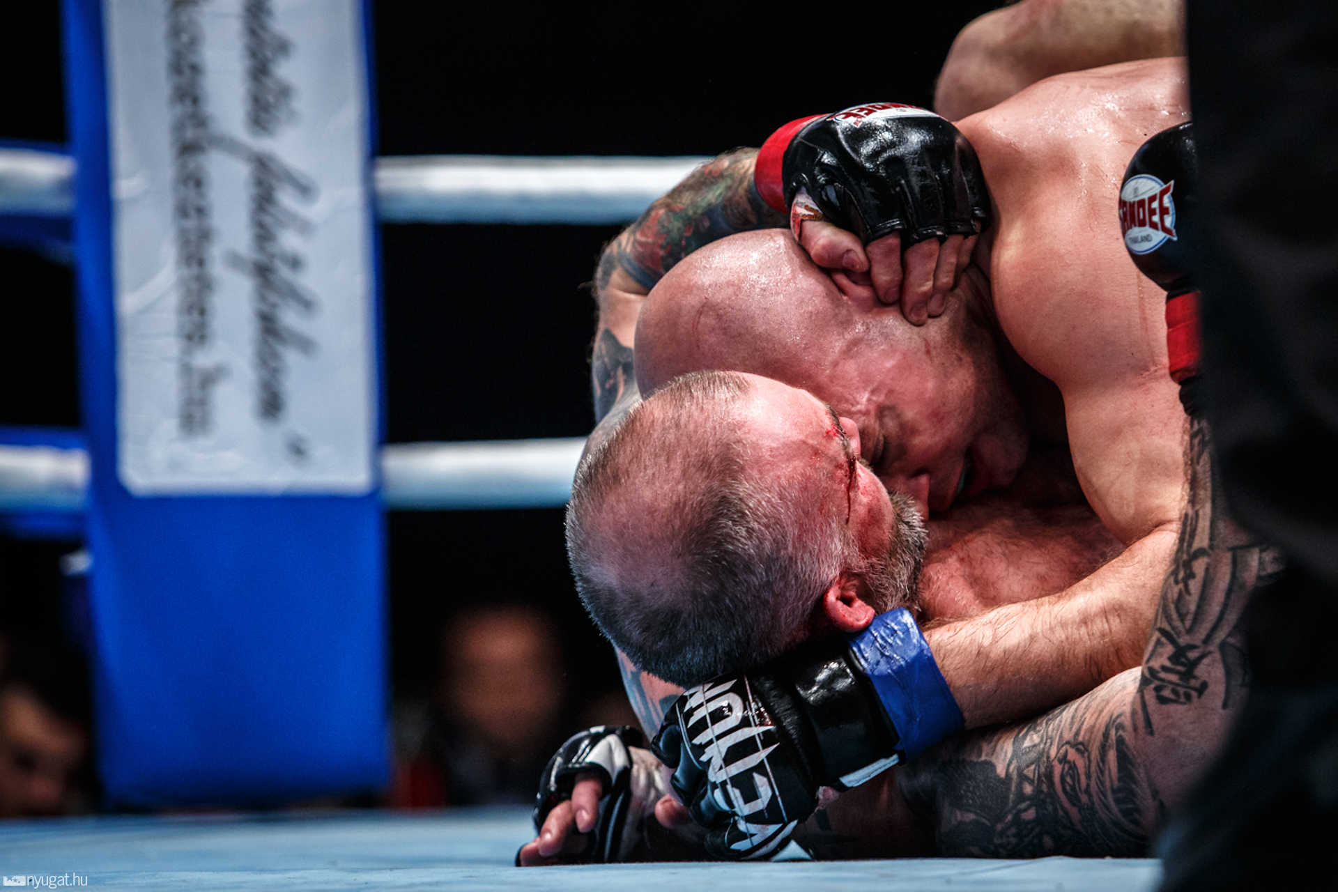 Fight Arena