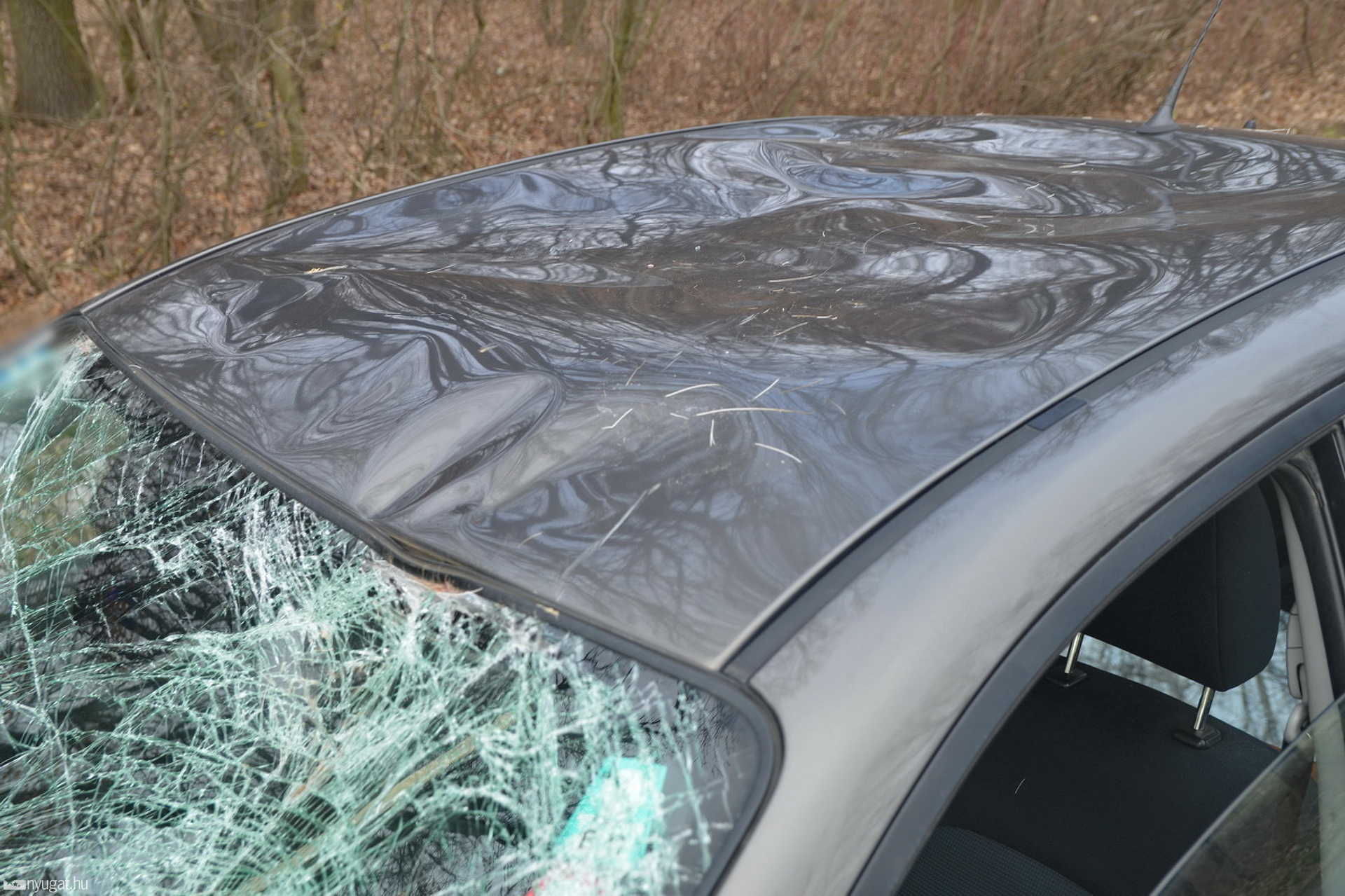 Mazda elé ugrott egy szarvas Nárainál