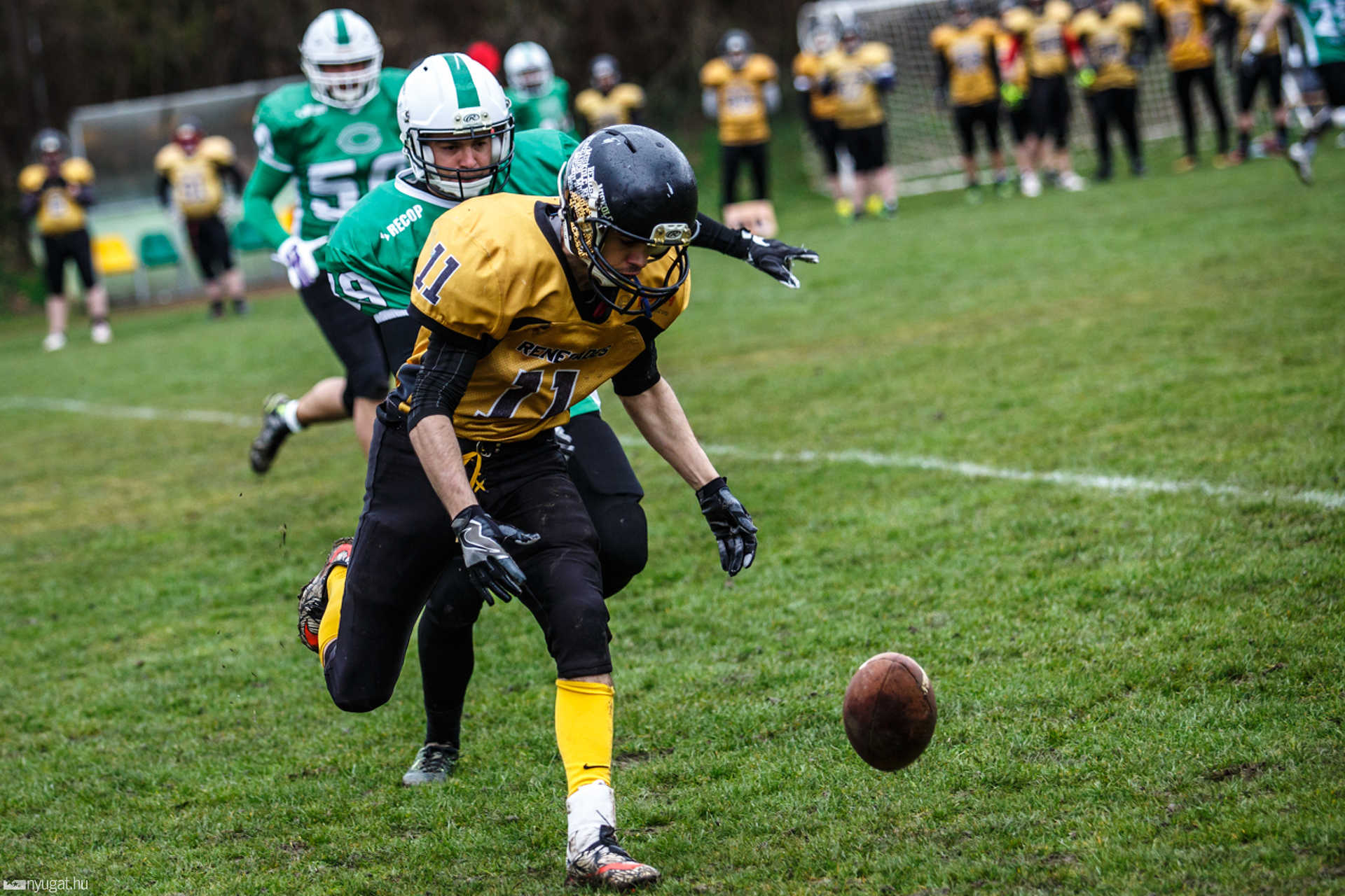 Szombathely Crushers - Miskolc Renegades