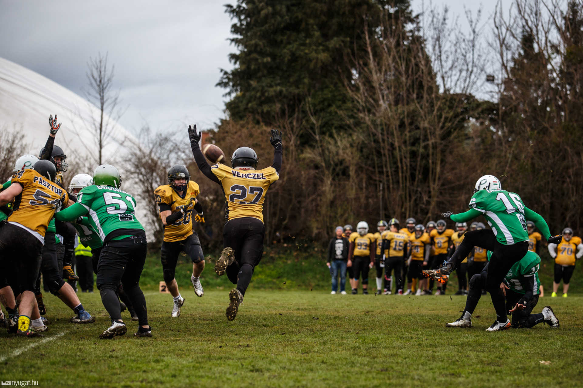 Szombathely Crushers - Miskolc Renegades