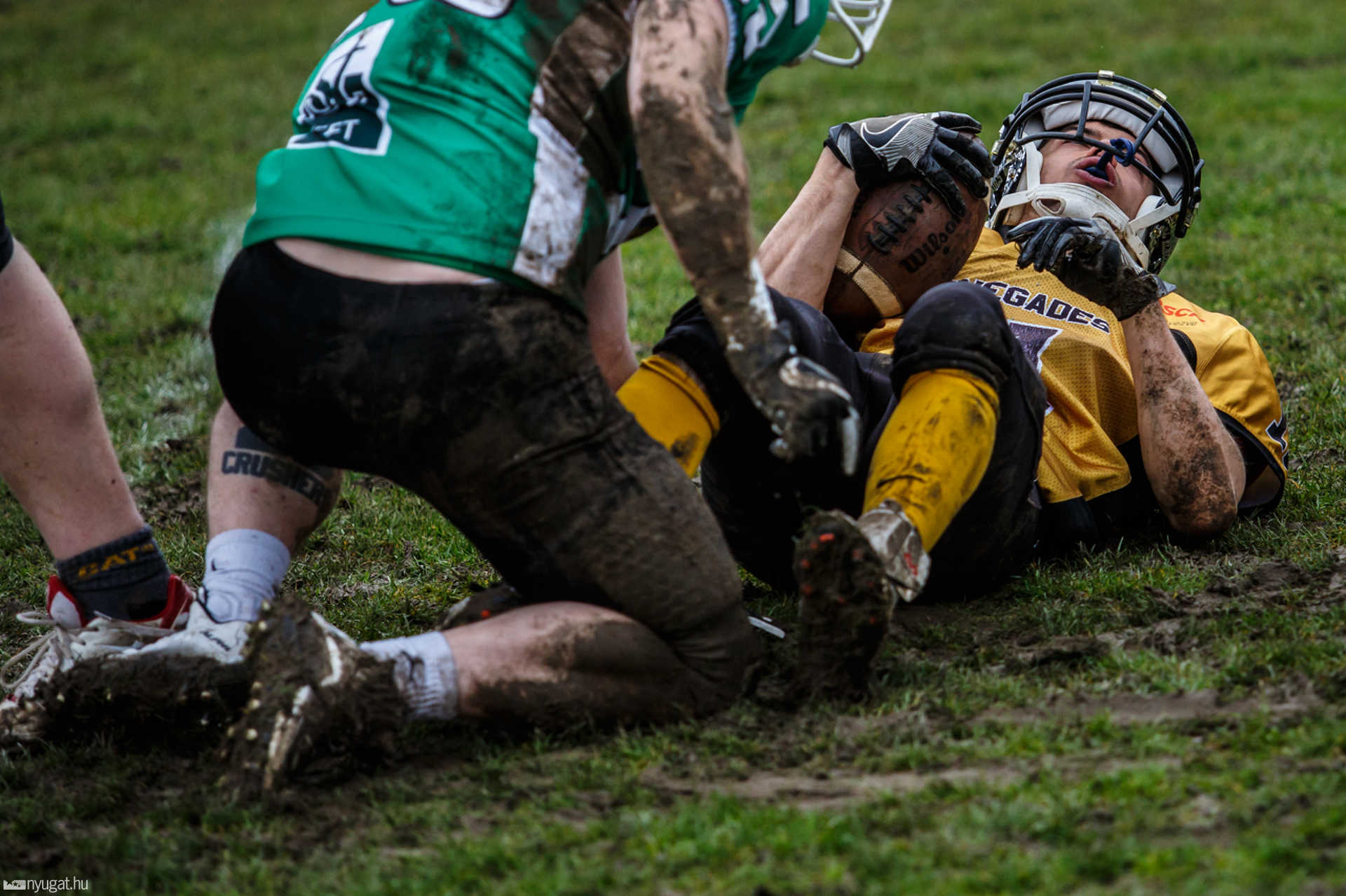 Szombathely Crushers - Miskolc Renegades