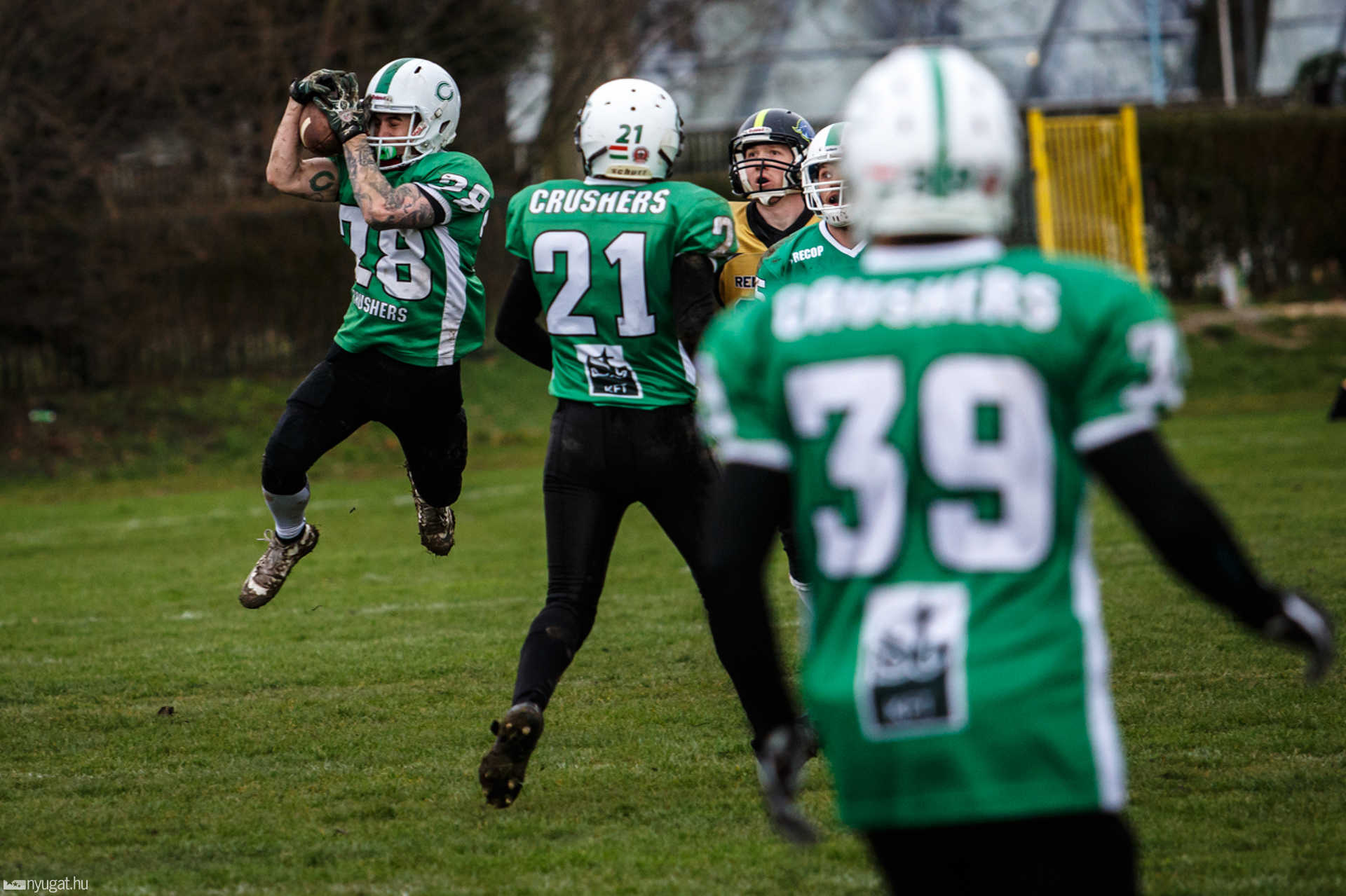 Szombathely Crushers - Miskolc Renegades