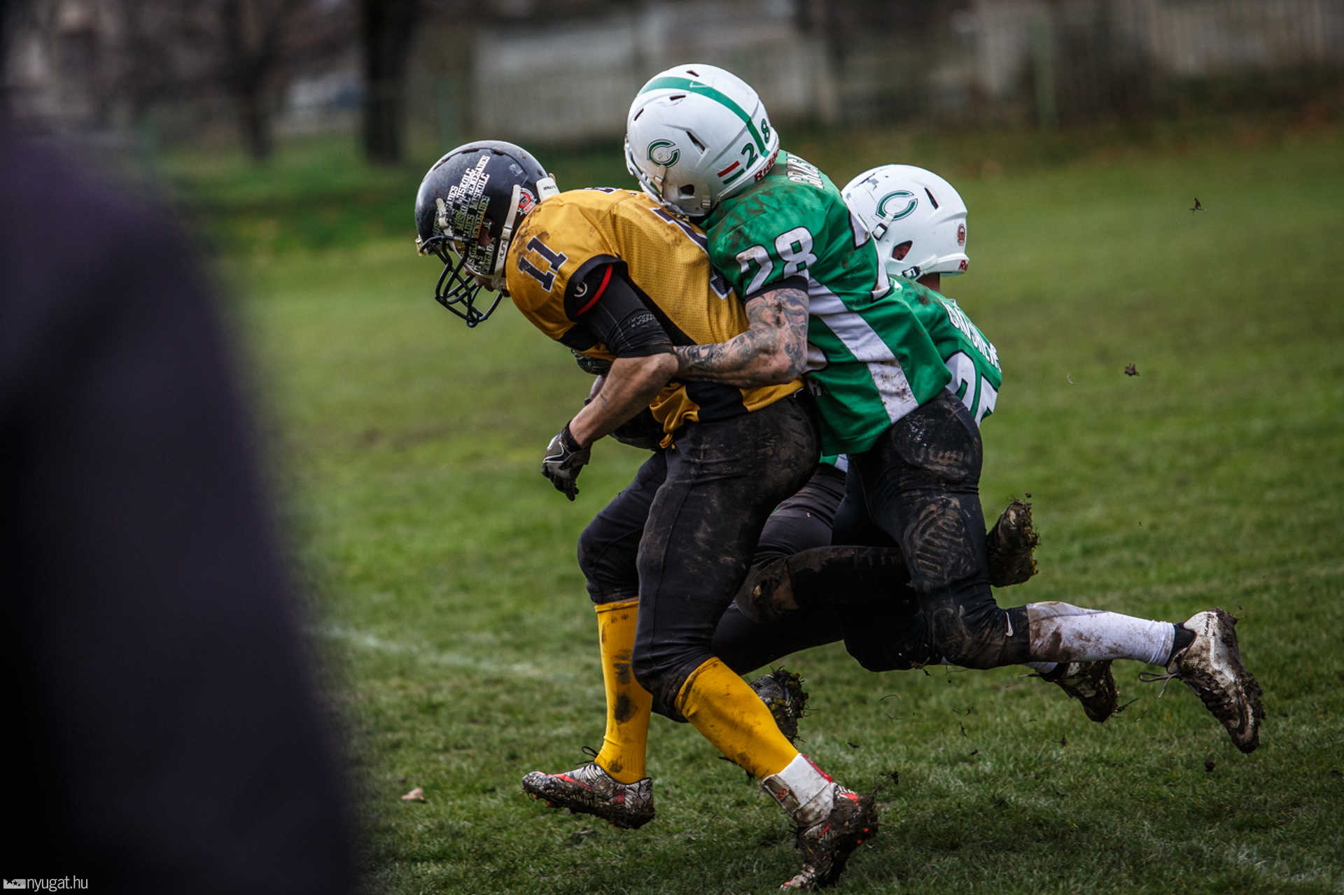 Szombathely Crushers - Miskolc Renegades