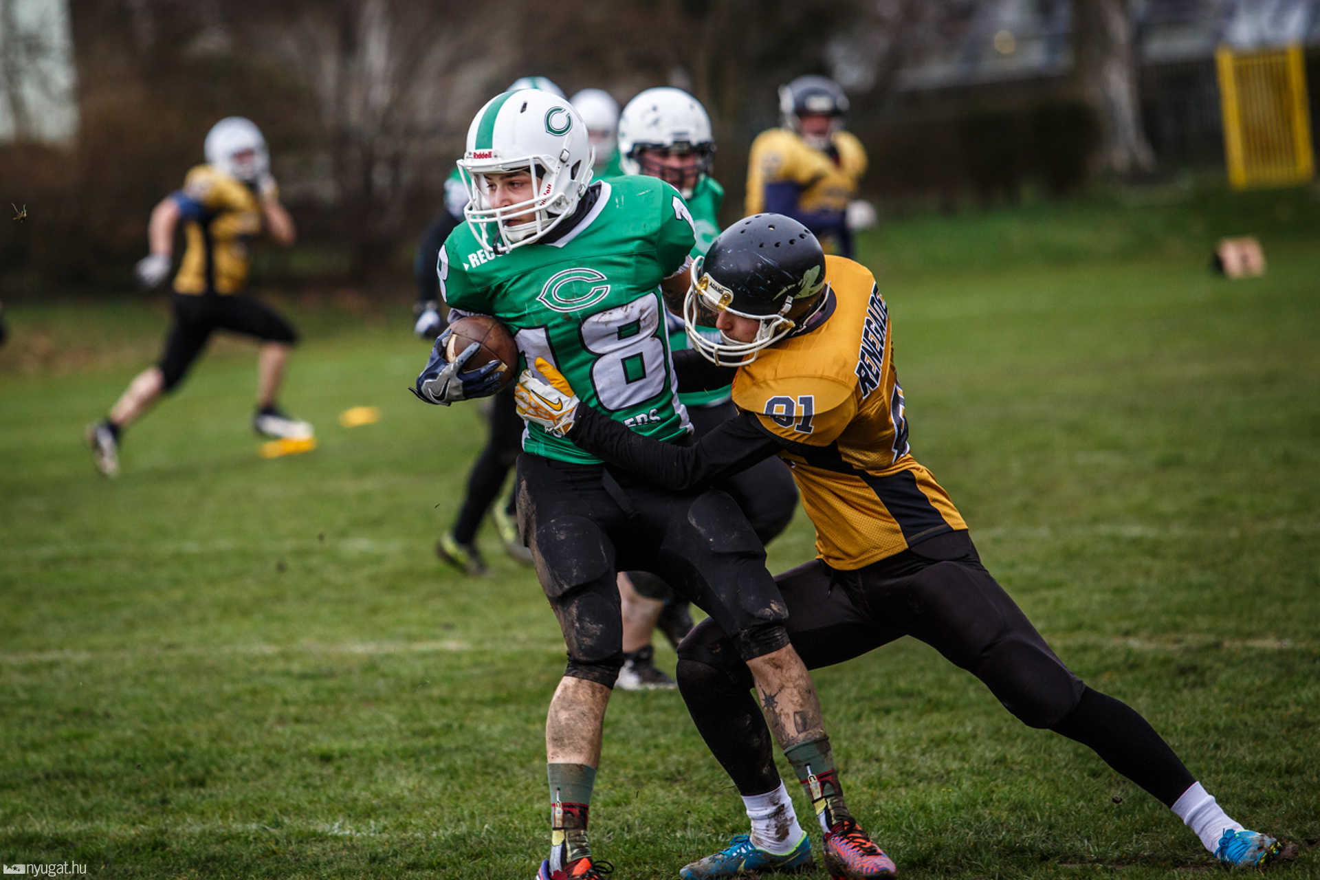 Szombathely Crushers - Miskolc Renegades