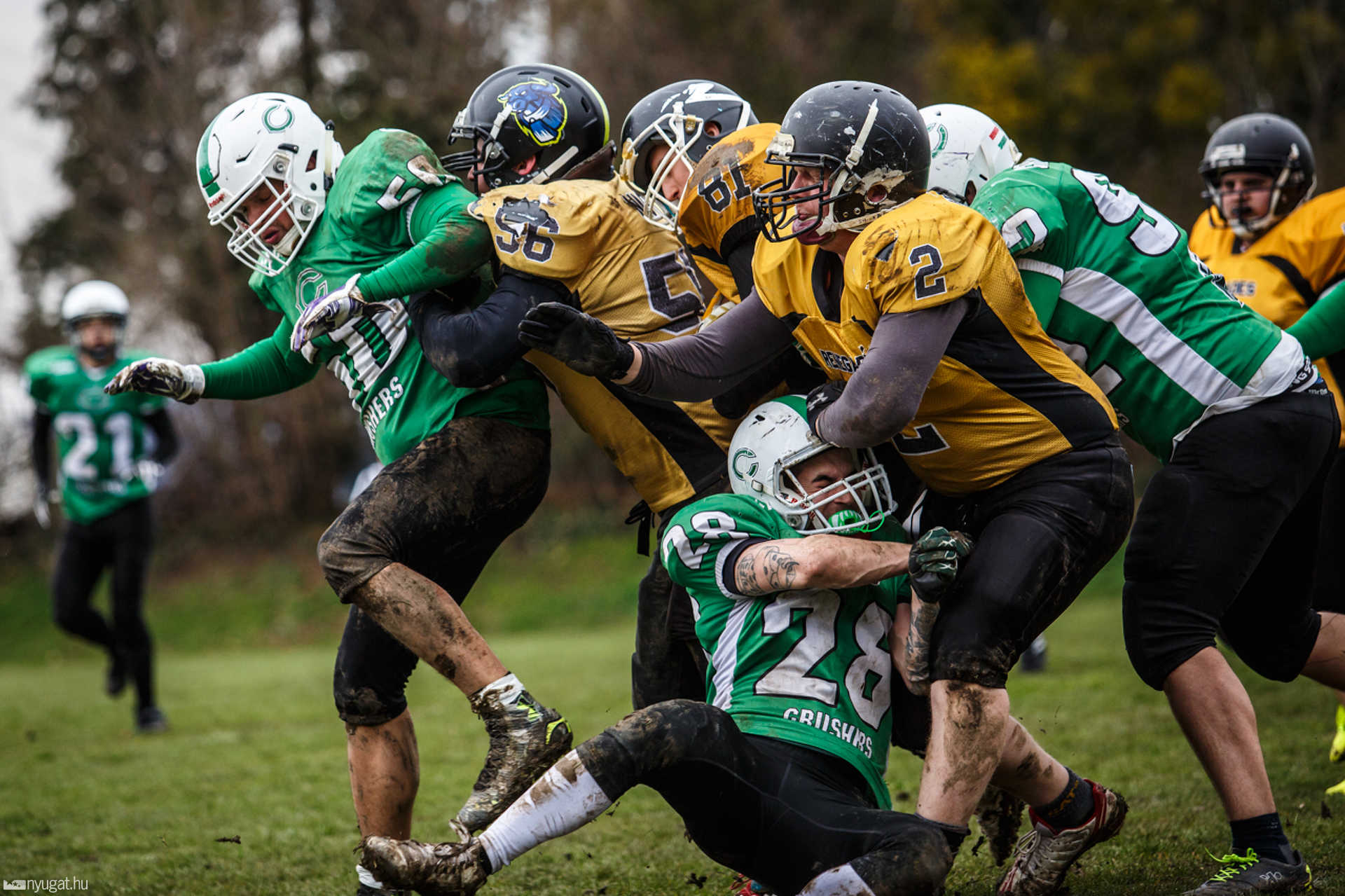 Szombathely Crushers - Miskolc Renegades