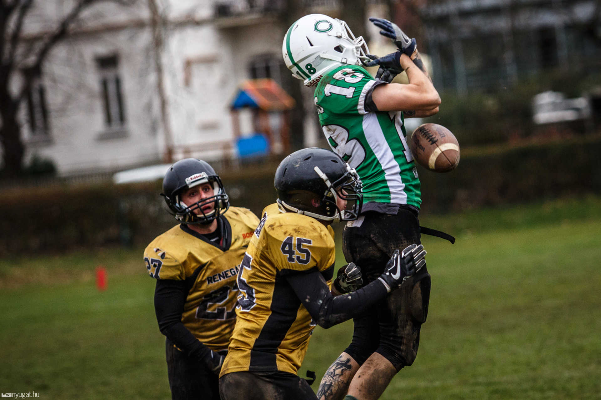Szombathely Crushers - Miskolc Renegades