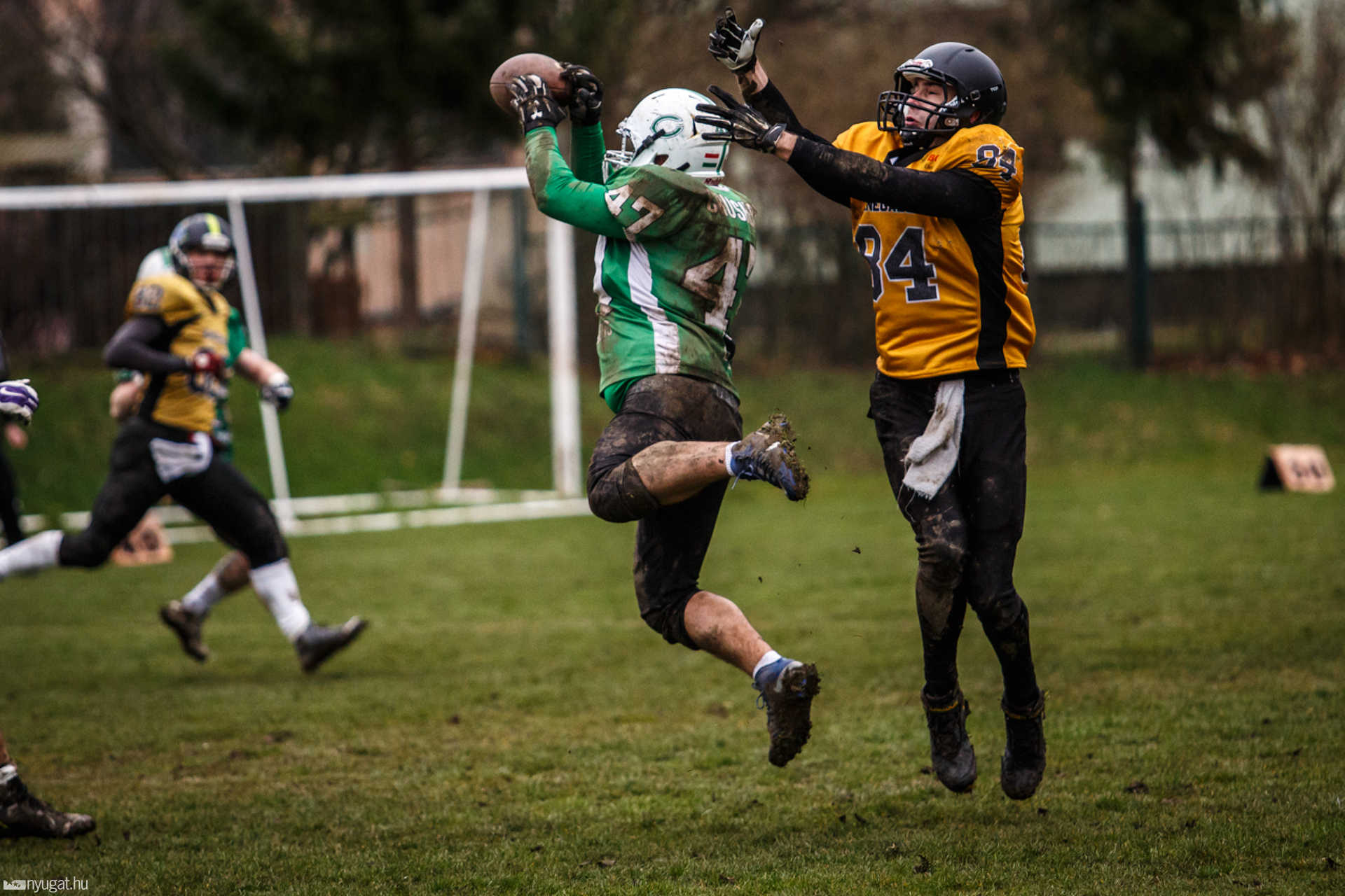 Szombathely Crushers - Miskolc Renegades