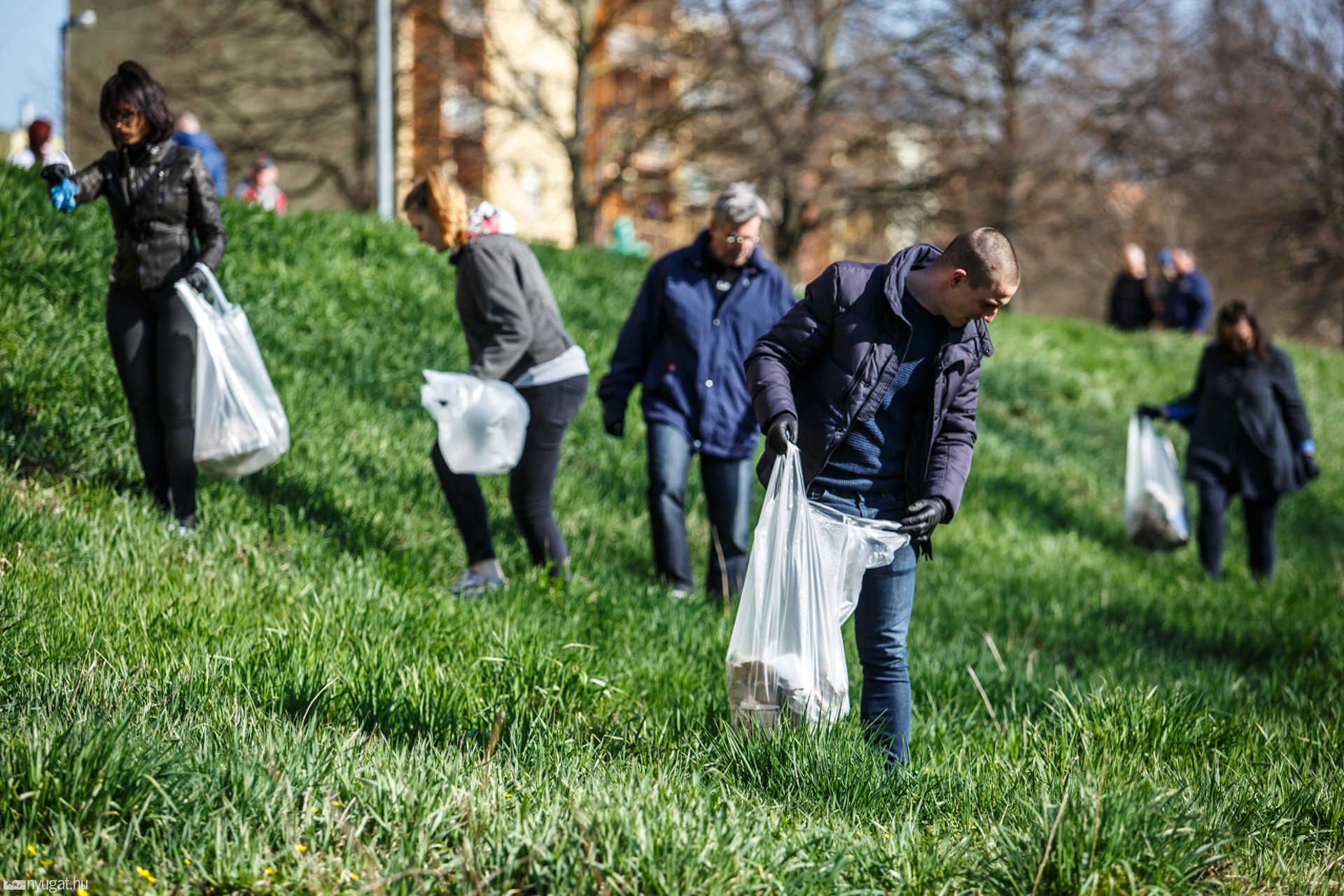 Szemétszedés a Perint-patak partján