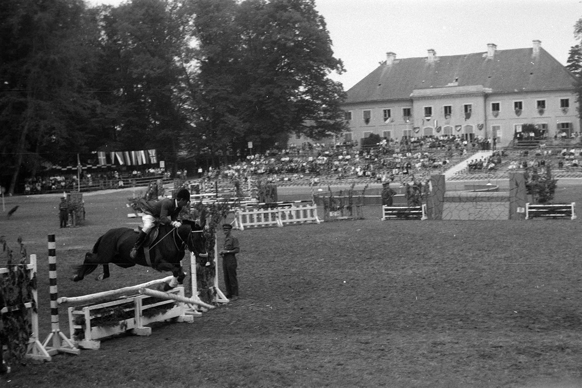 Lovasnapok a Zichy kastély parkjában