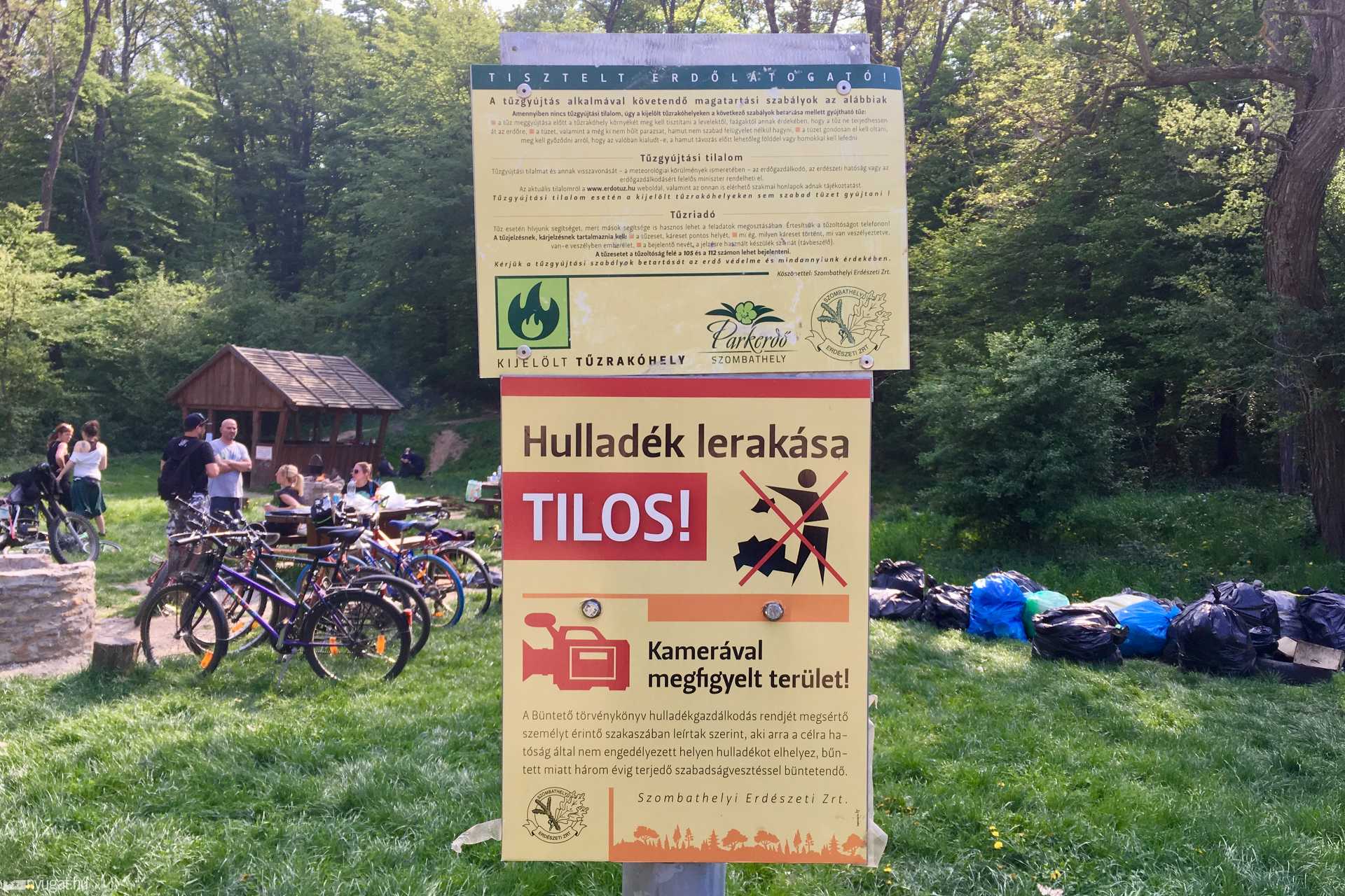 Szemétszedés a szombathelyi parkerdőben