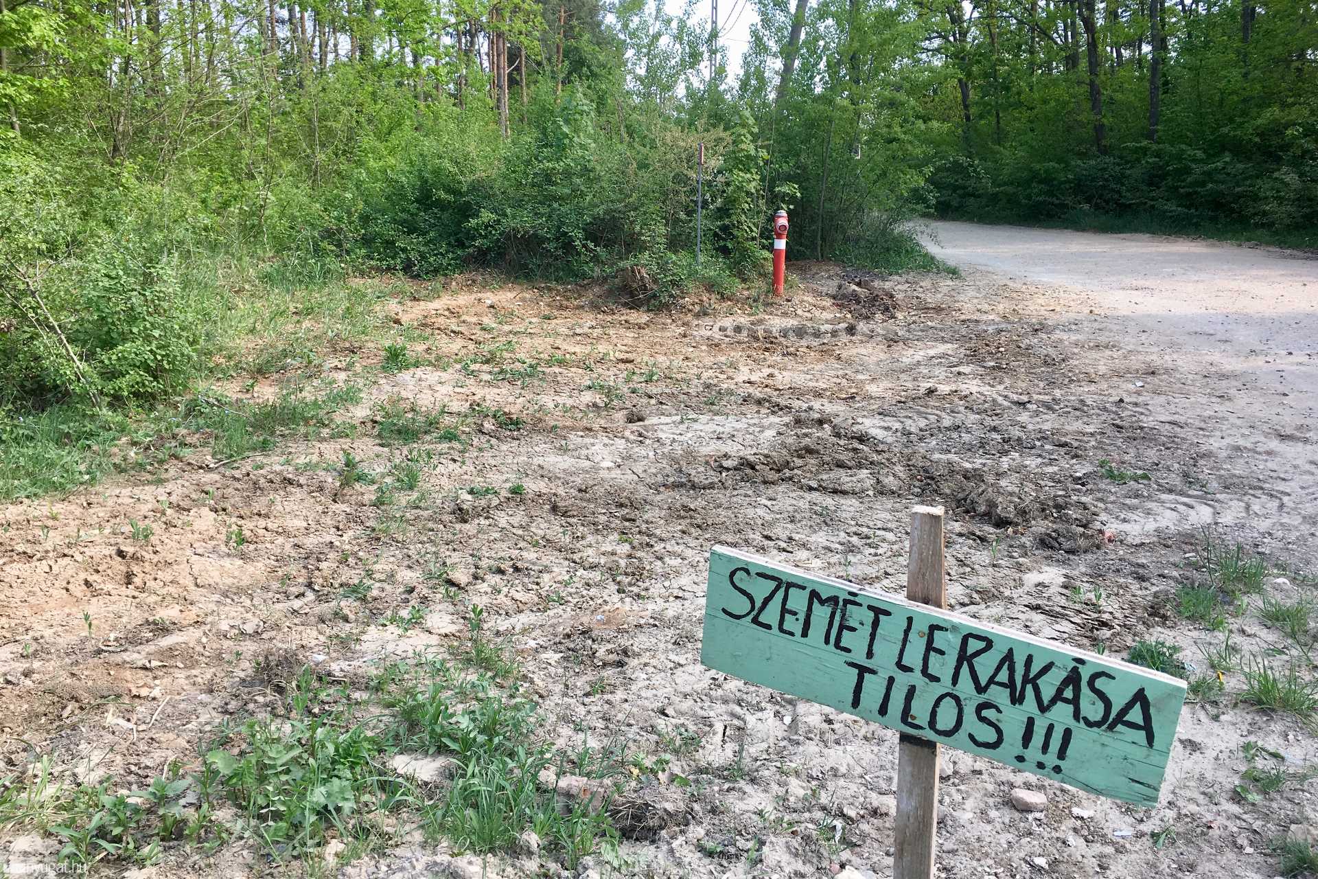 Szemétszedés a szombathelyi parkerdőben