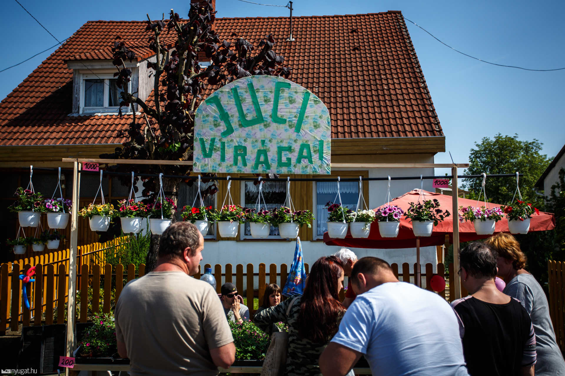 Herényi Virágút 2018