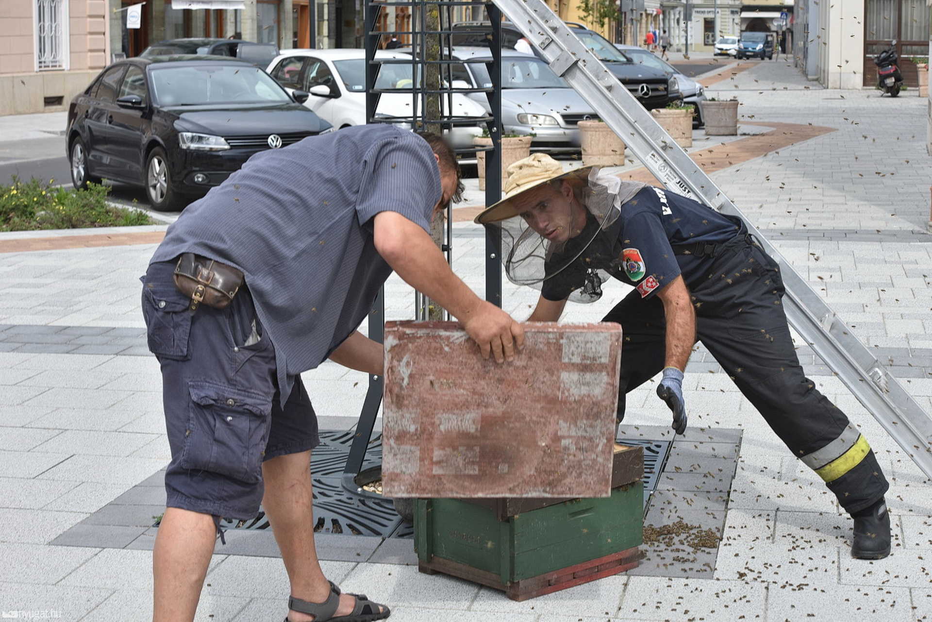 Méhrajt fogtak be a szombathelyi nagytemplom előtt 
