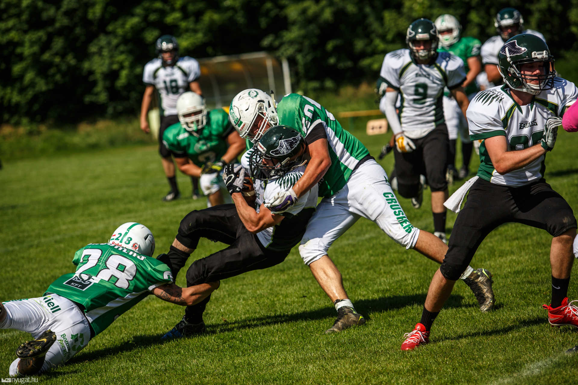 Szombathely Crushers - Budapest Eagles 2