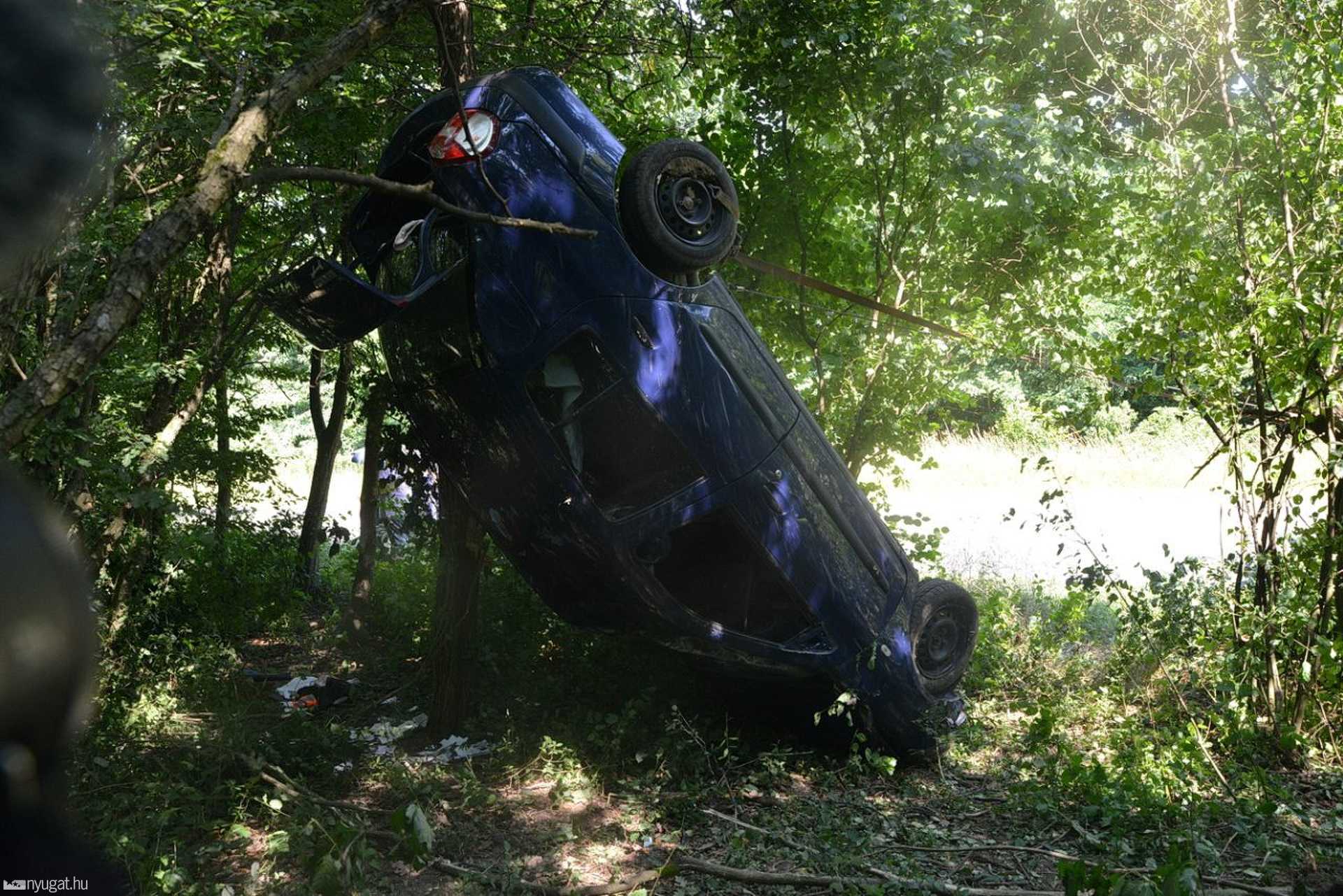 Fák közé repült a Renault
