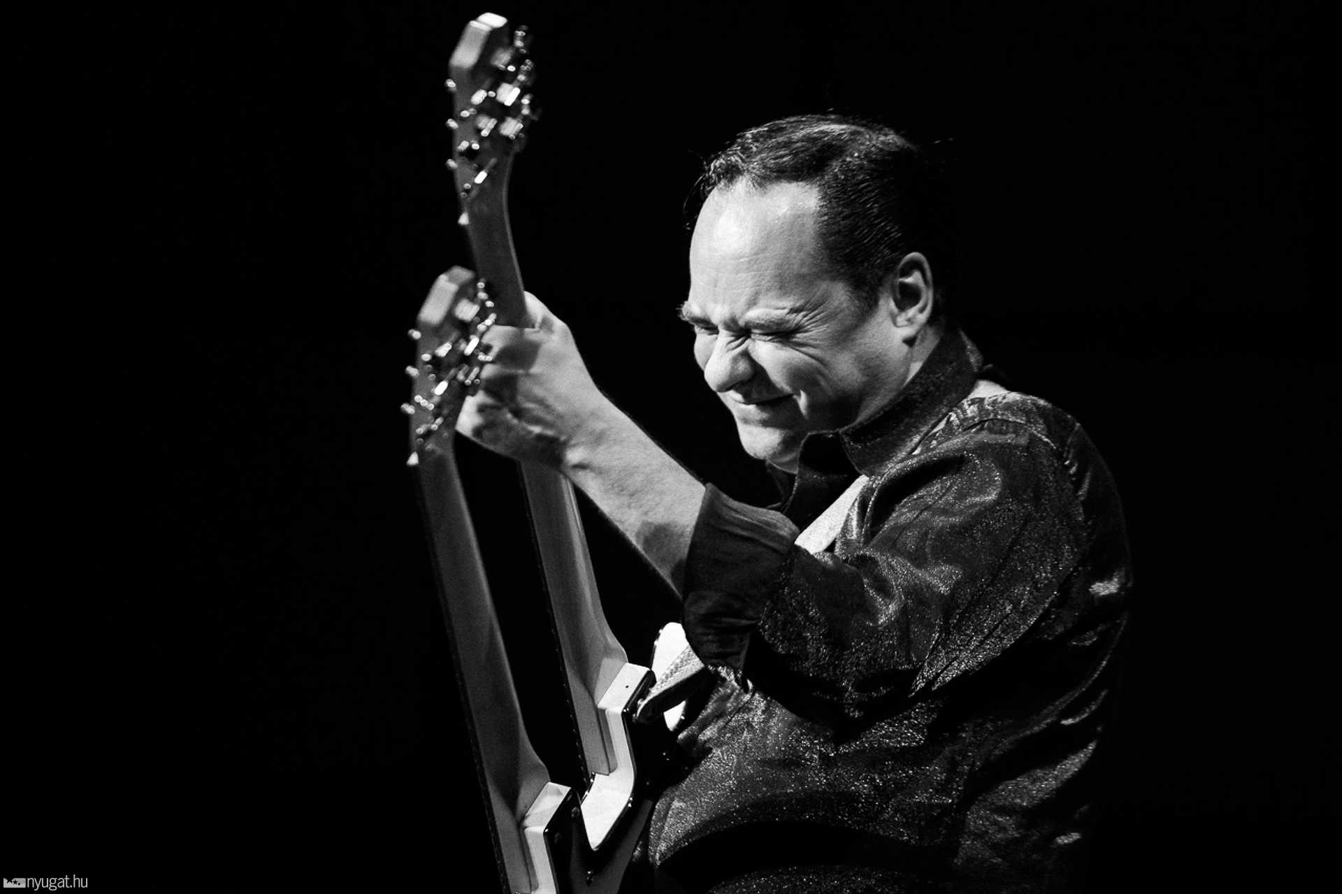 Lamantin 2018 - blues nap