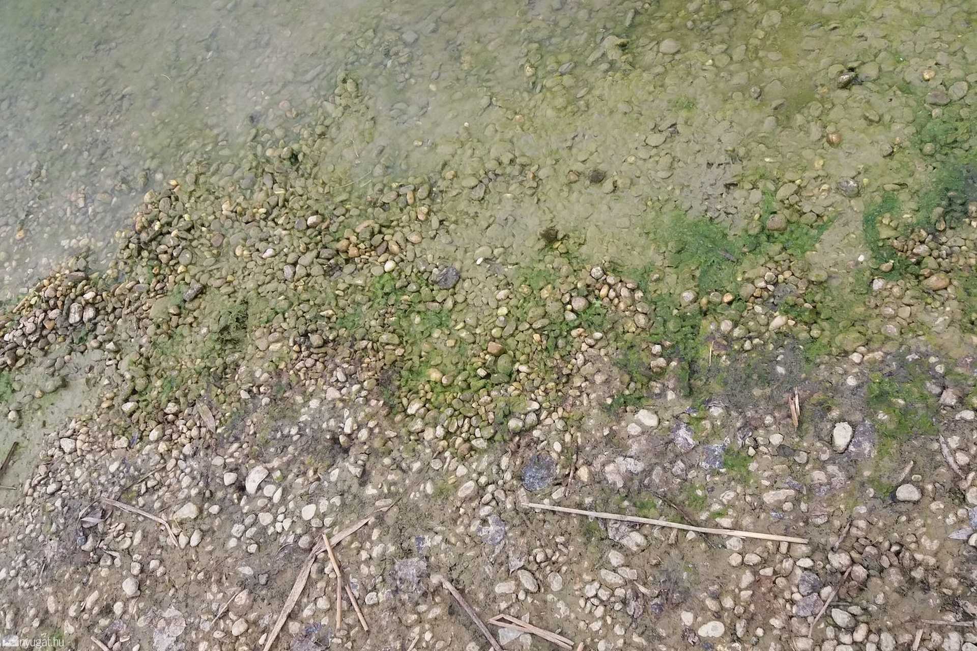 Vihar előtti csend a gersekaráti strandon