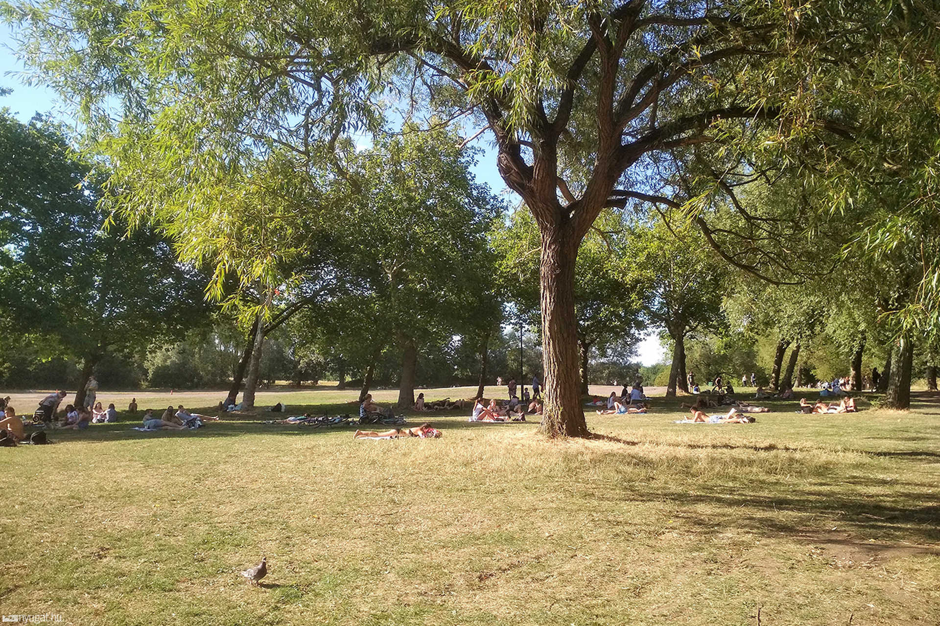 Hampstead Heath