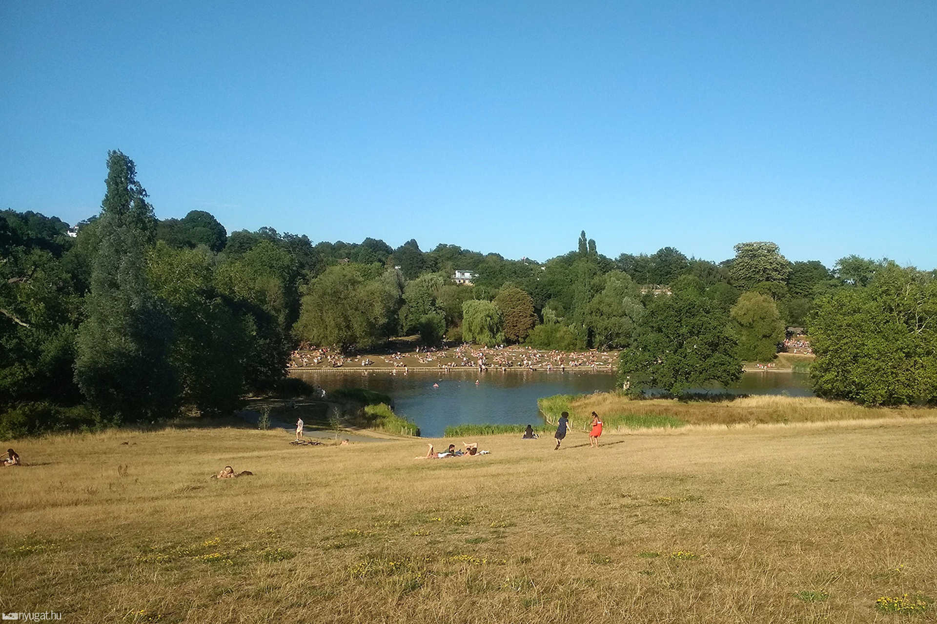 Hampstead Heath
