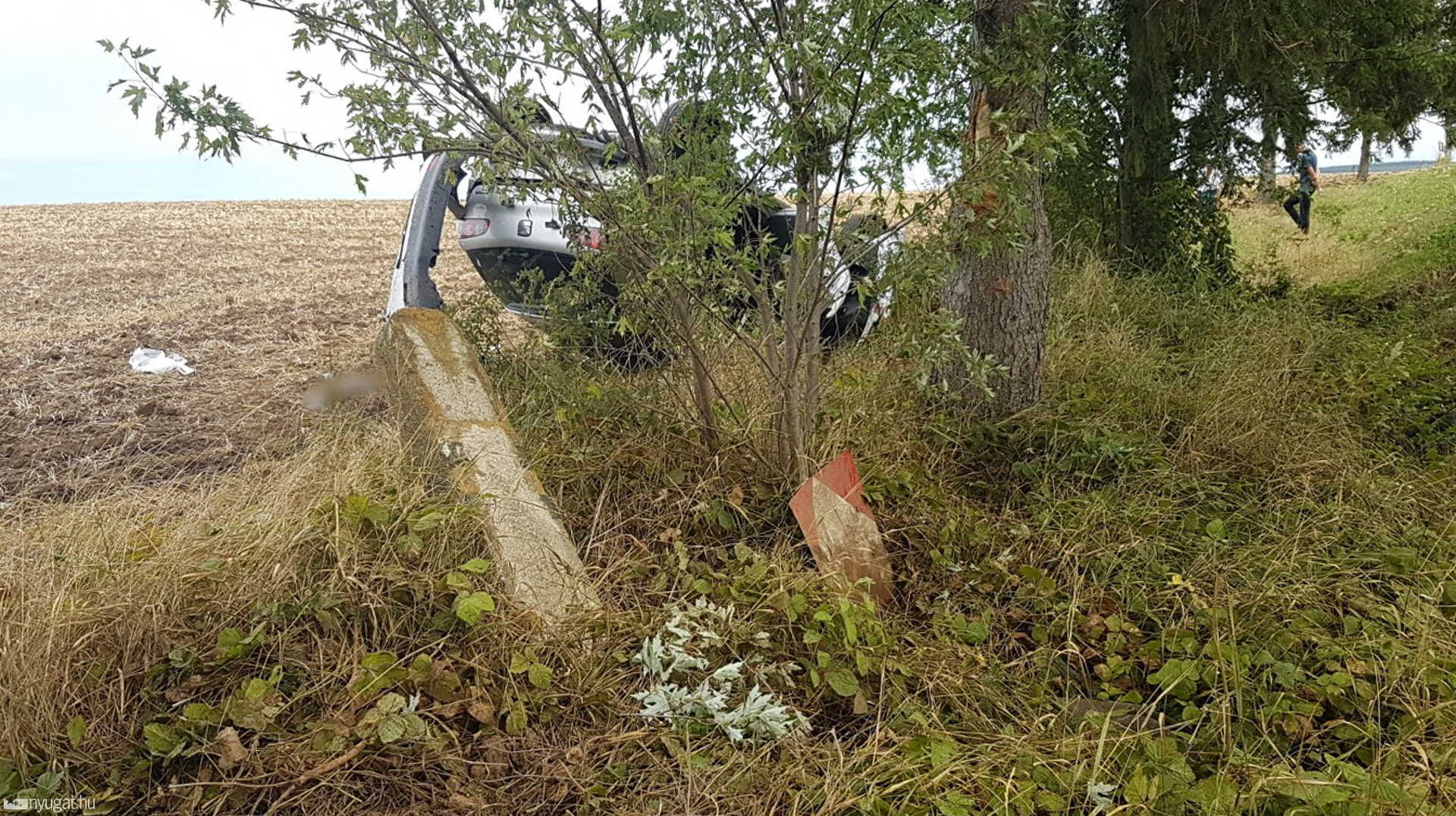 Betonoszlopot és táblákat döntött, majd szántóföldre csapódott egy Seat Torony közelében