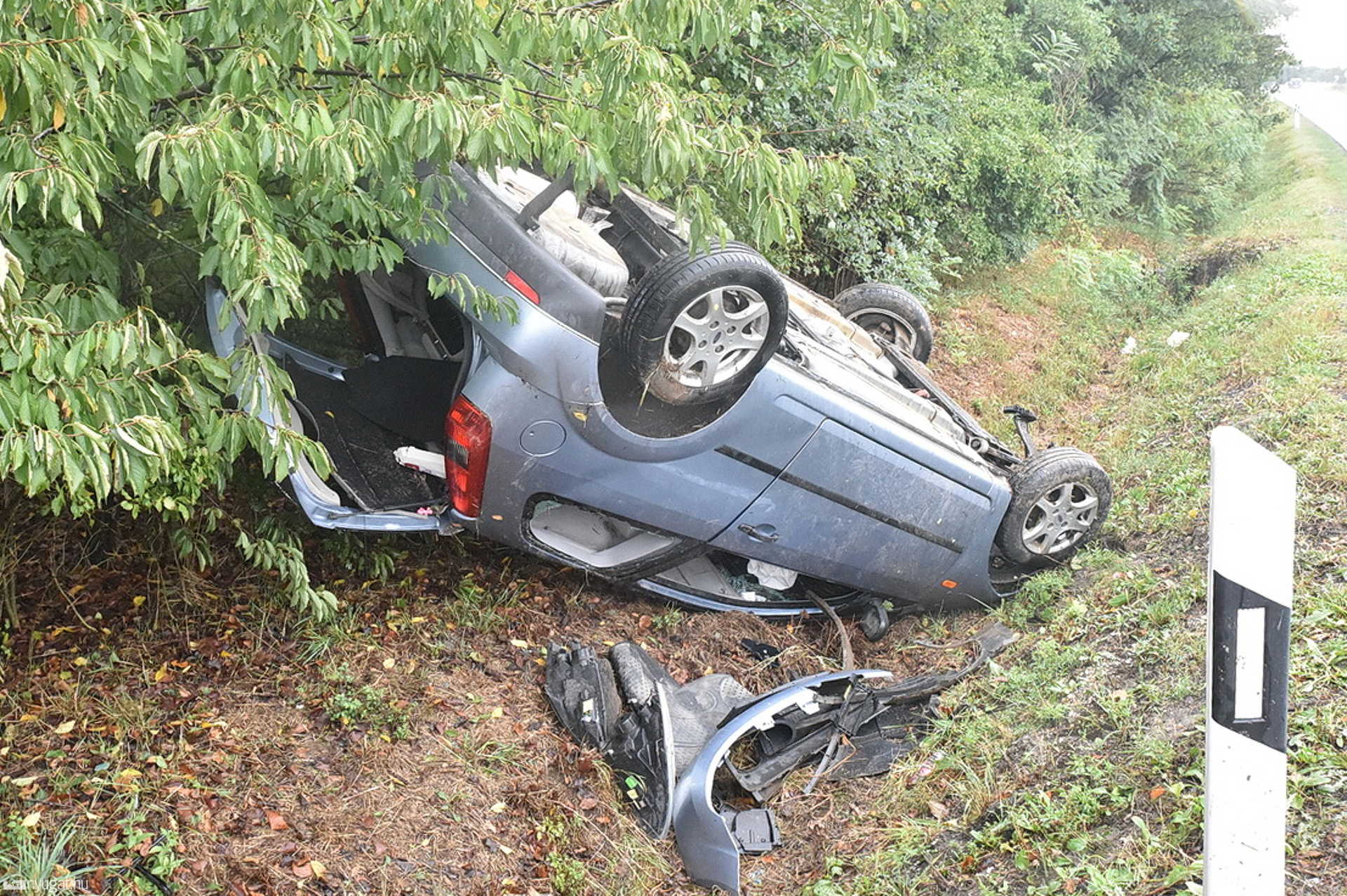 Őz szaladt egy Ford elé Vasszécsenynél