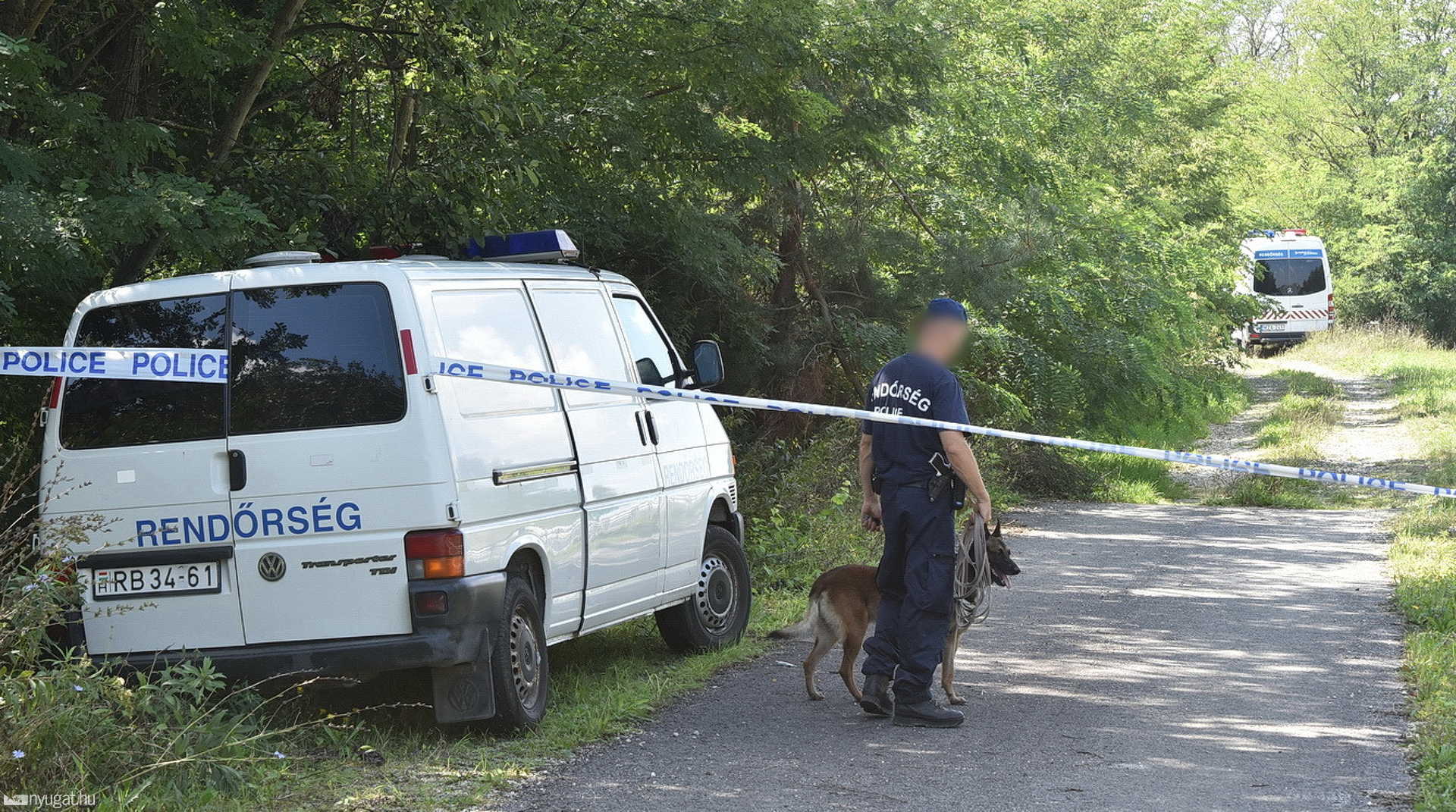 Sörétessel lőttek rá egy vállalkozóra Vas megyében
