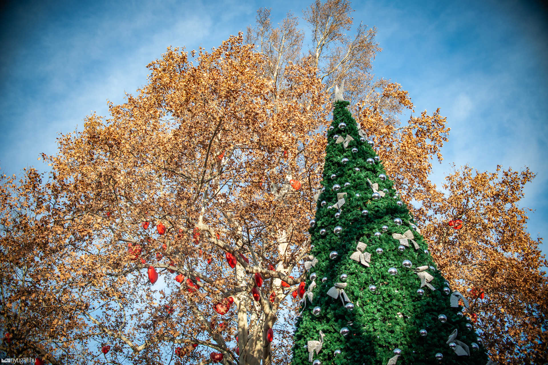 Bécsi Advent