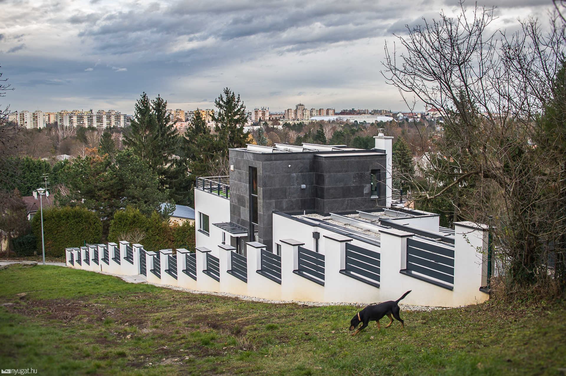 Oladi Rózsadomb