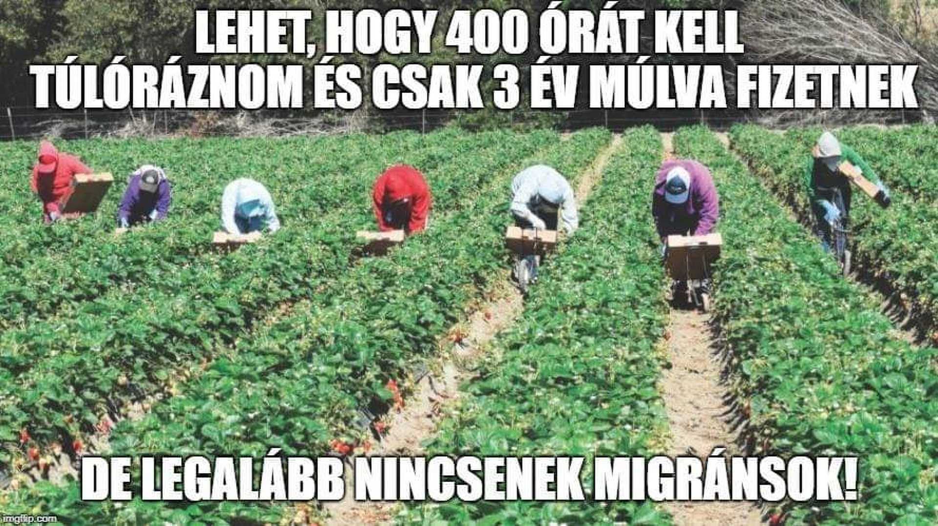 Túlóra mémek