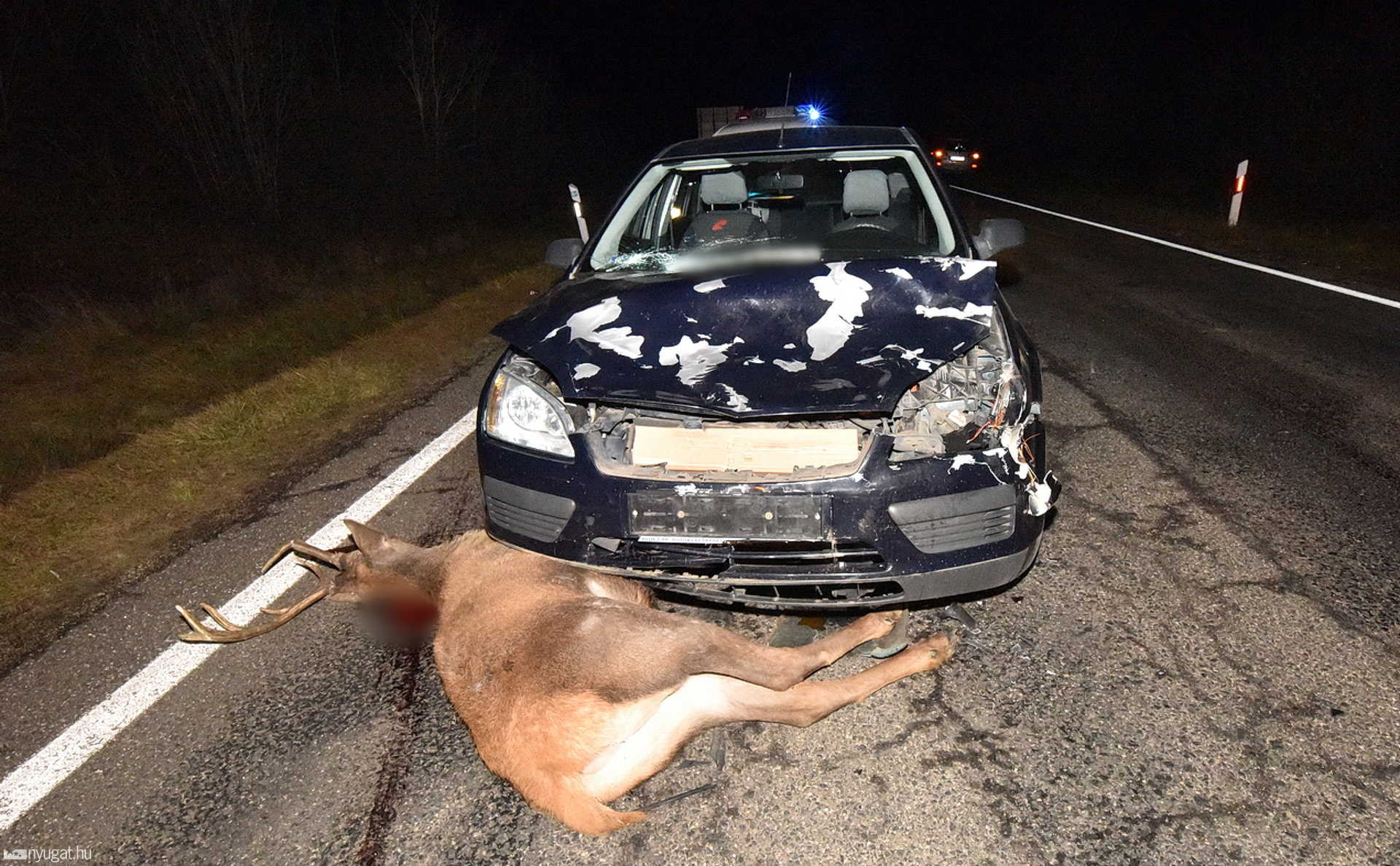 Kétszer ütközött a szarvassal egy Ford a 86-os főúton