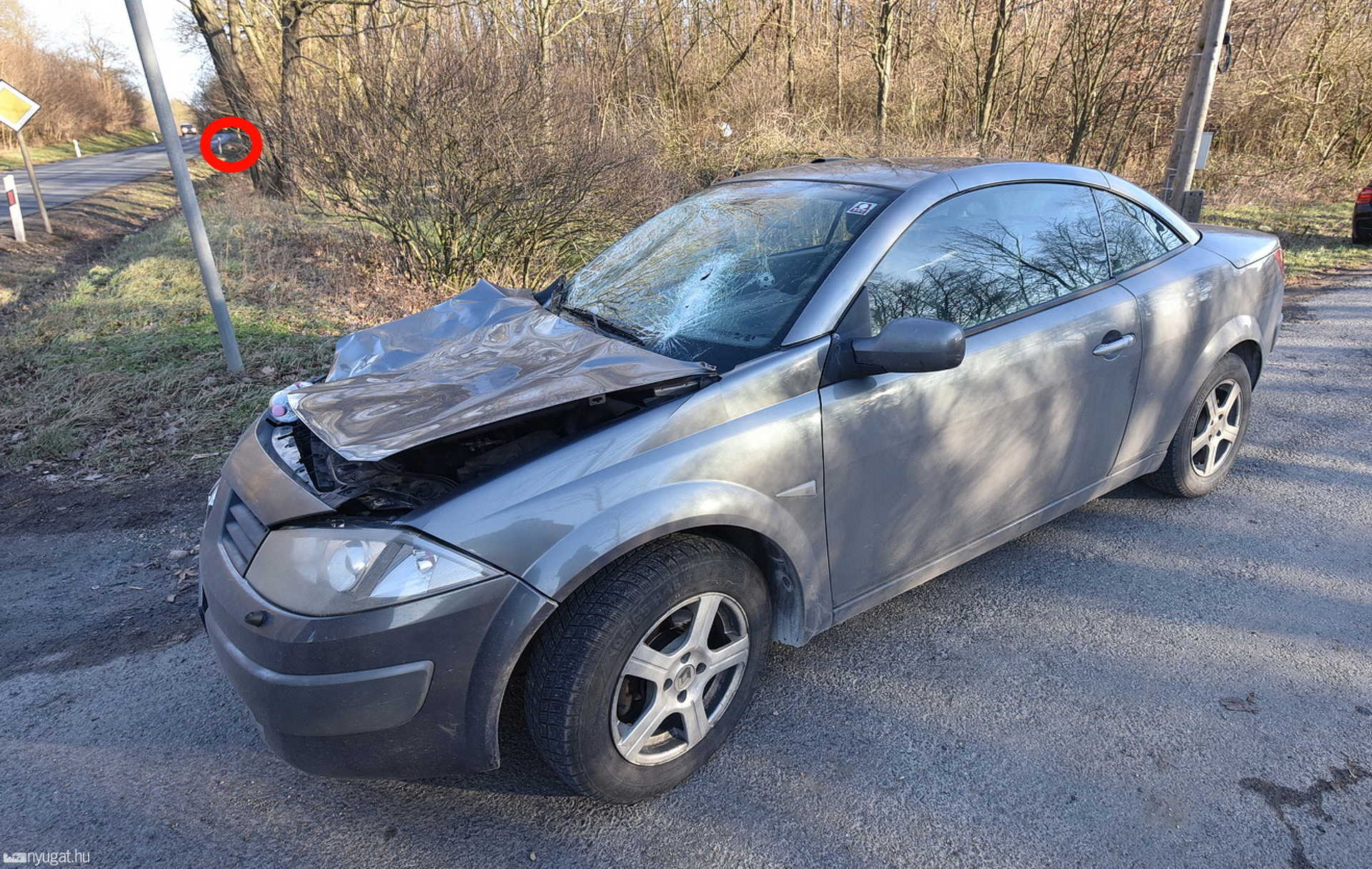 Szarvast ütött el egy Renault Sitkénél