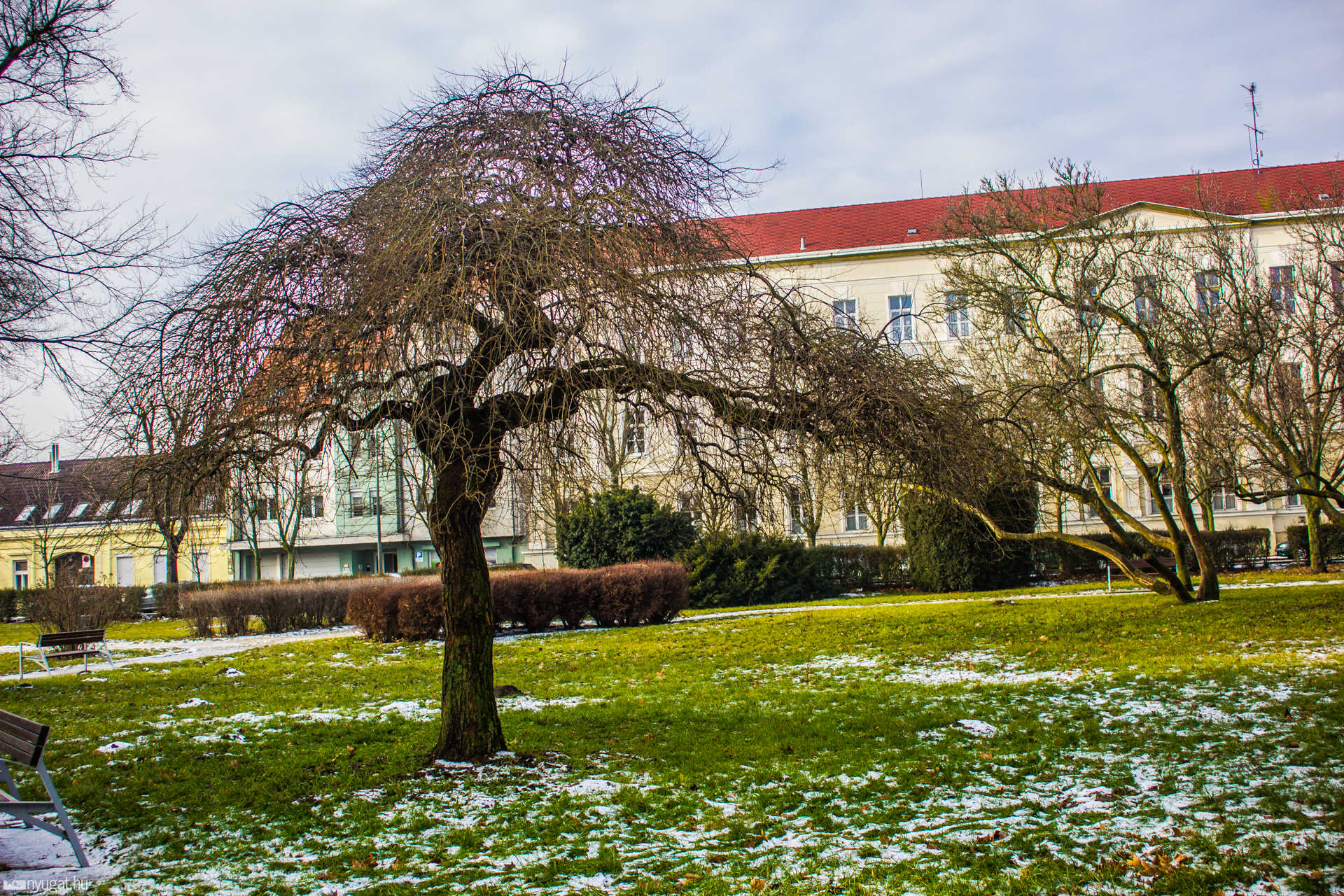Napos, színes Gayer és Brenner park, Jeges utak