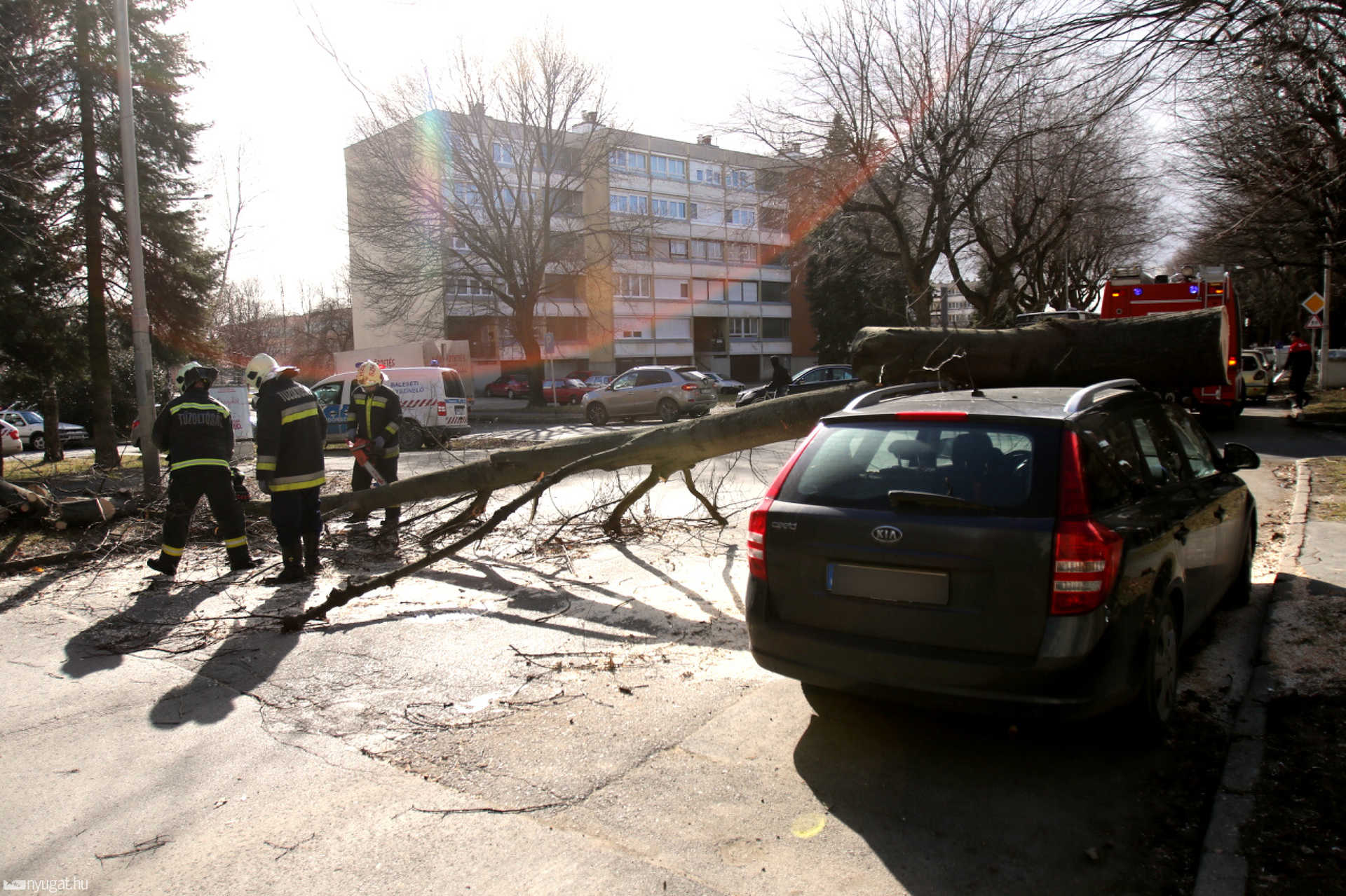 Autóra dőlt egy fa Szombathelyen