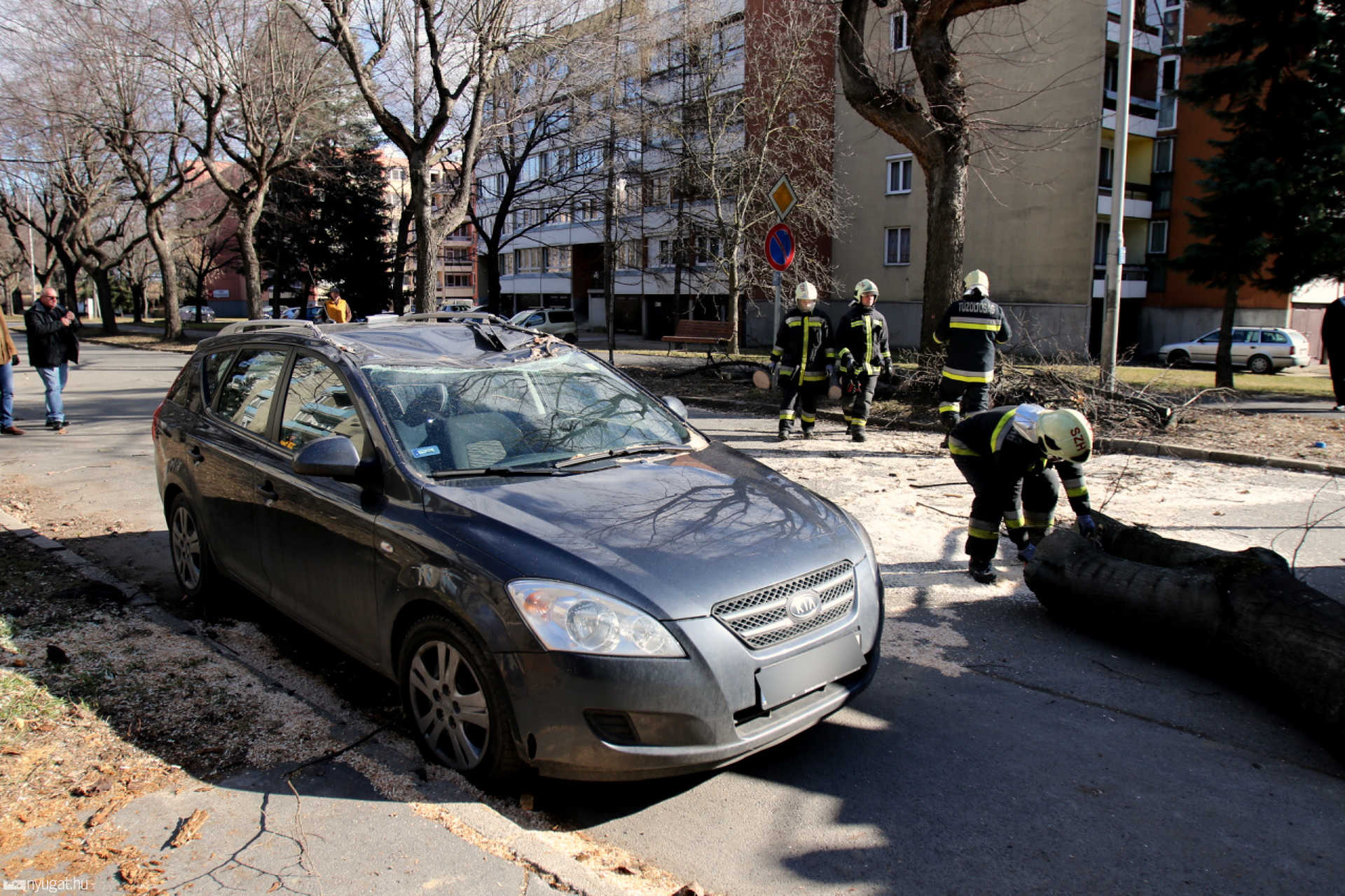 Autóra dőlt egy fa Szombathelyen