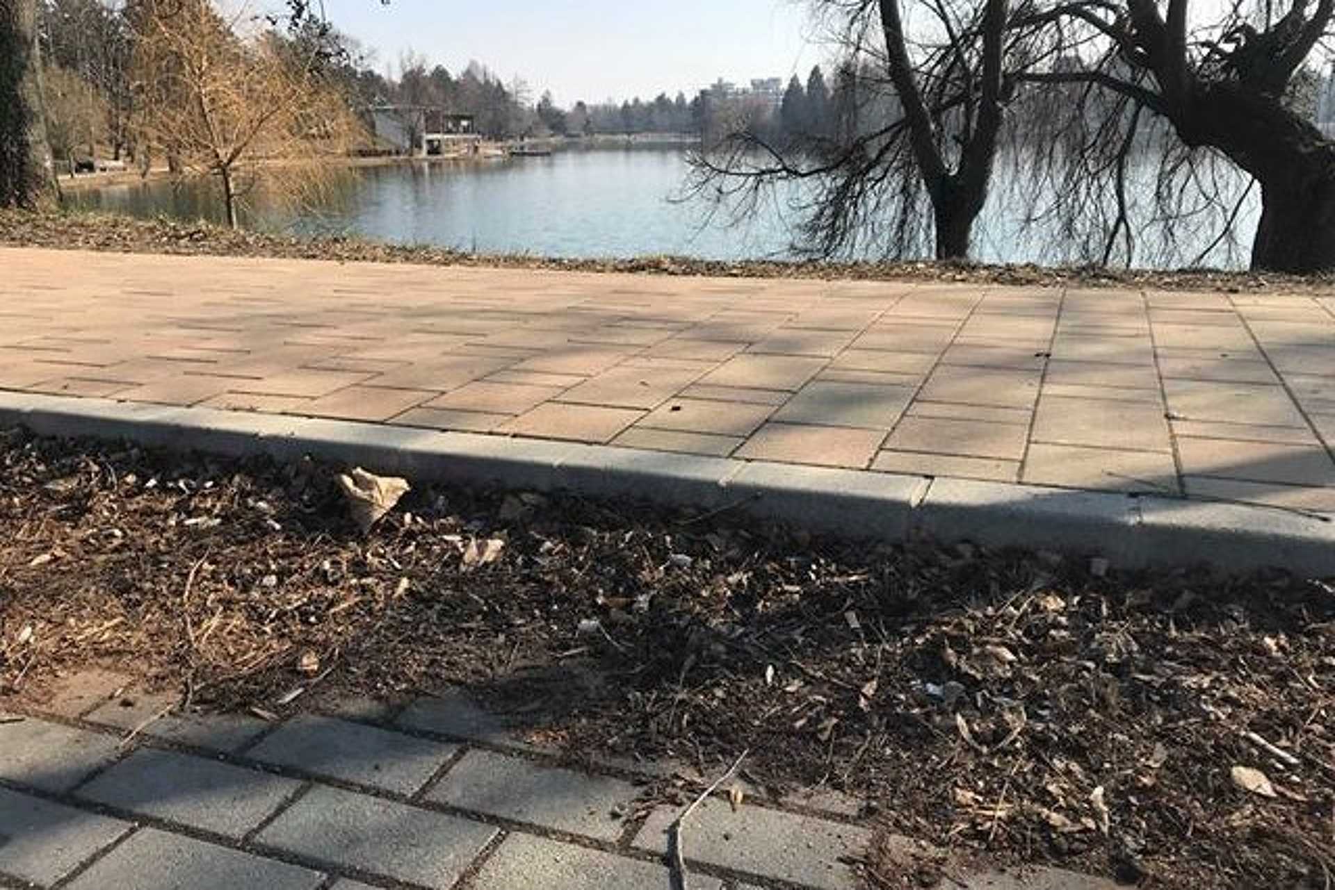 Ősz óta nem sikerült összegyűjteni az leveleket a Csónakázó tó körül