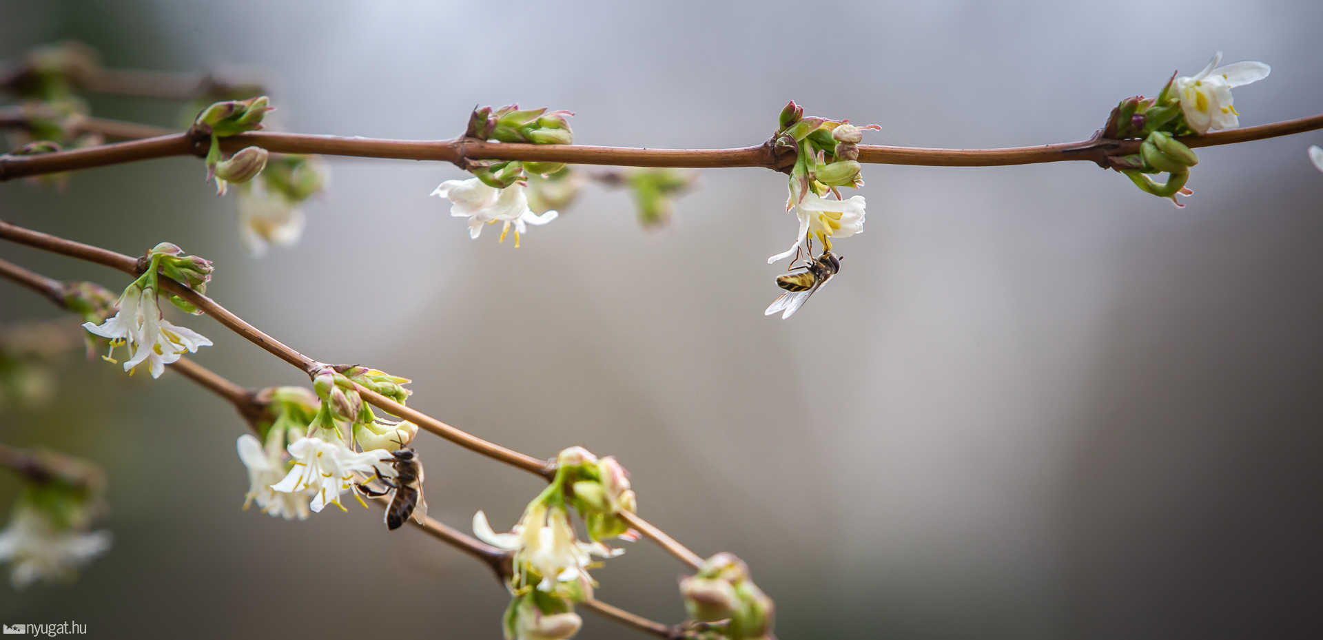Arborétum tavasz 2019