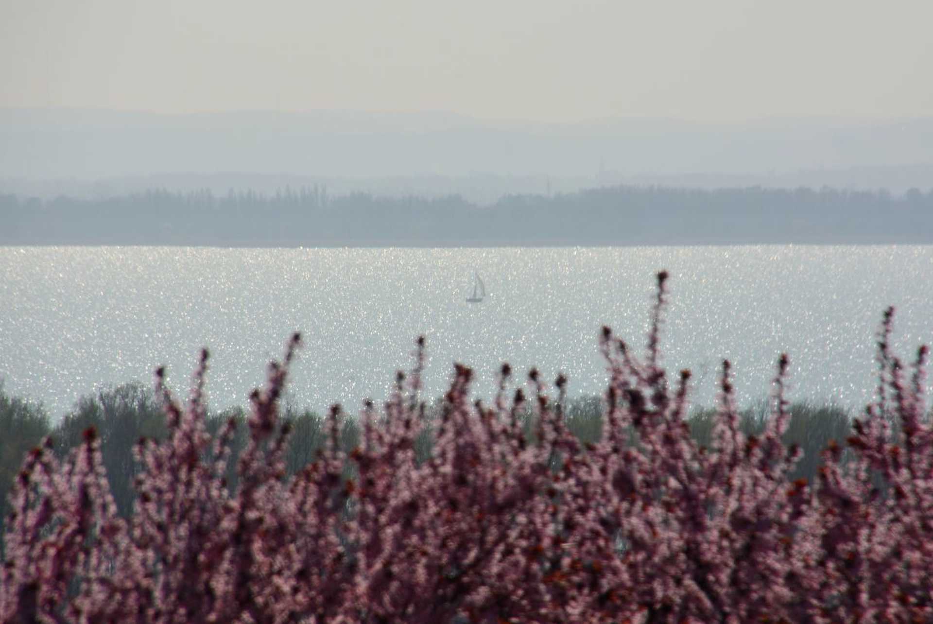 Balaton koratavasszal 