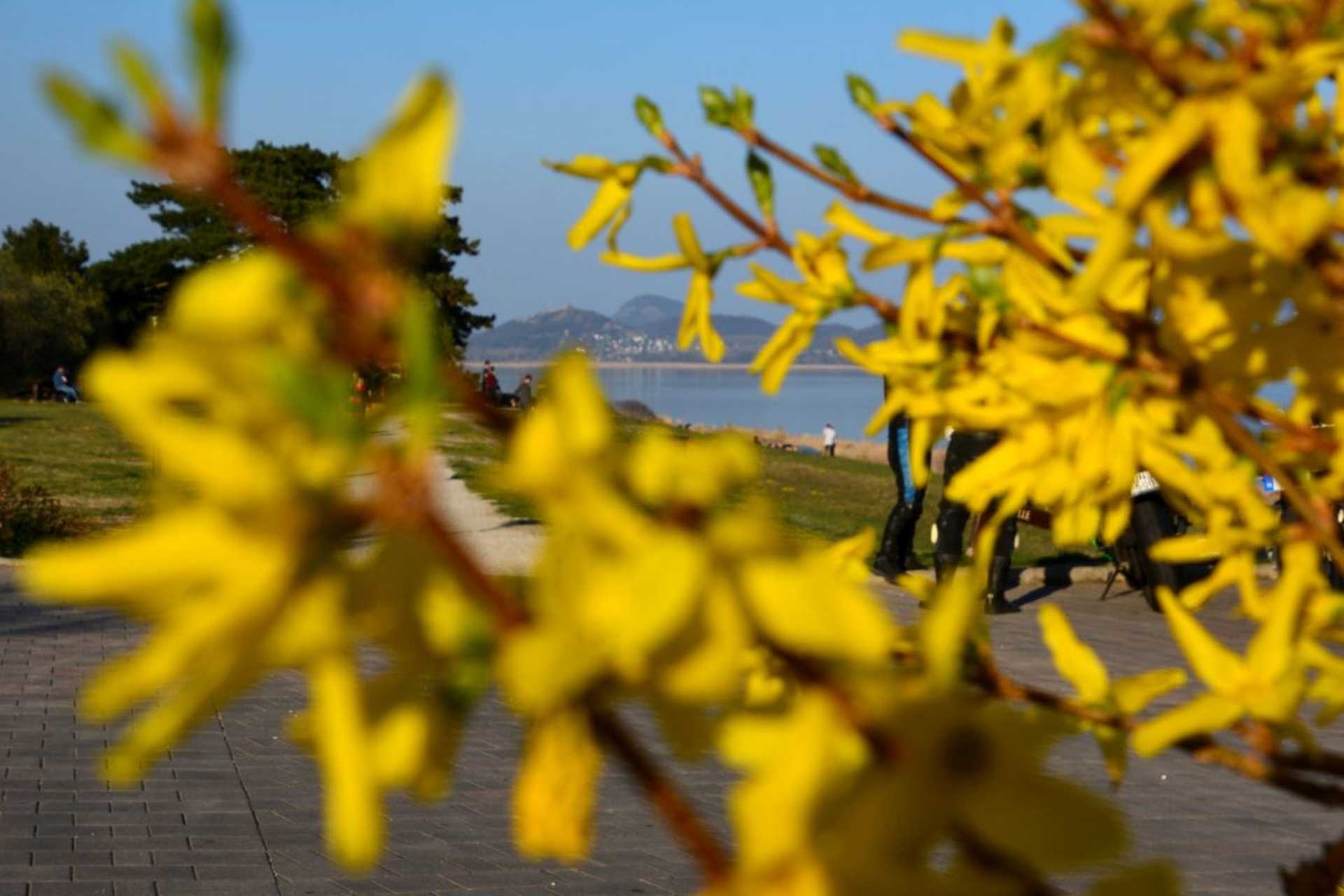 Balaton koratavasszal 