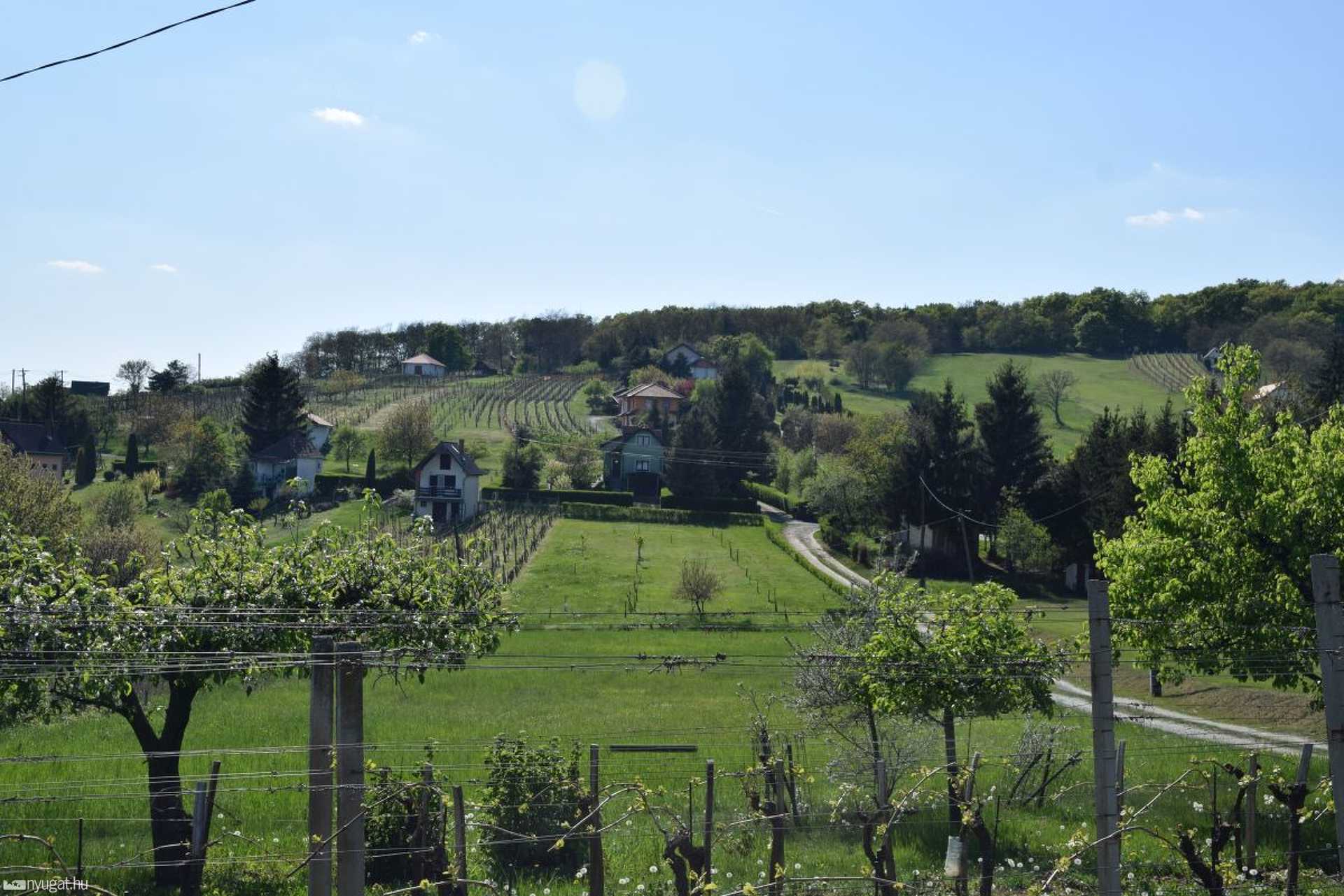Vas-hegyi kilátó az osztrák oldalon (Weinblick)