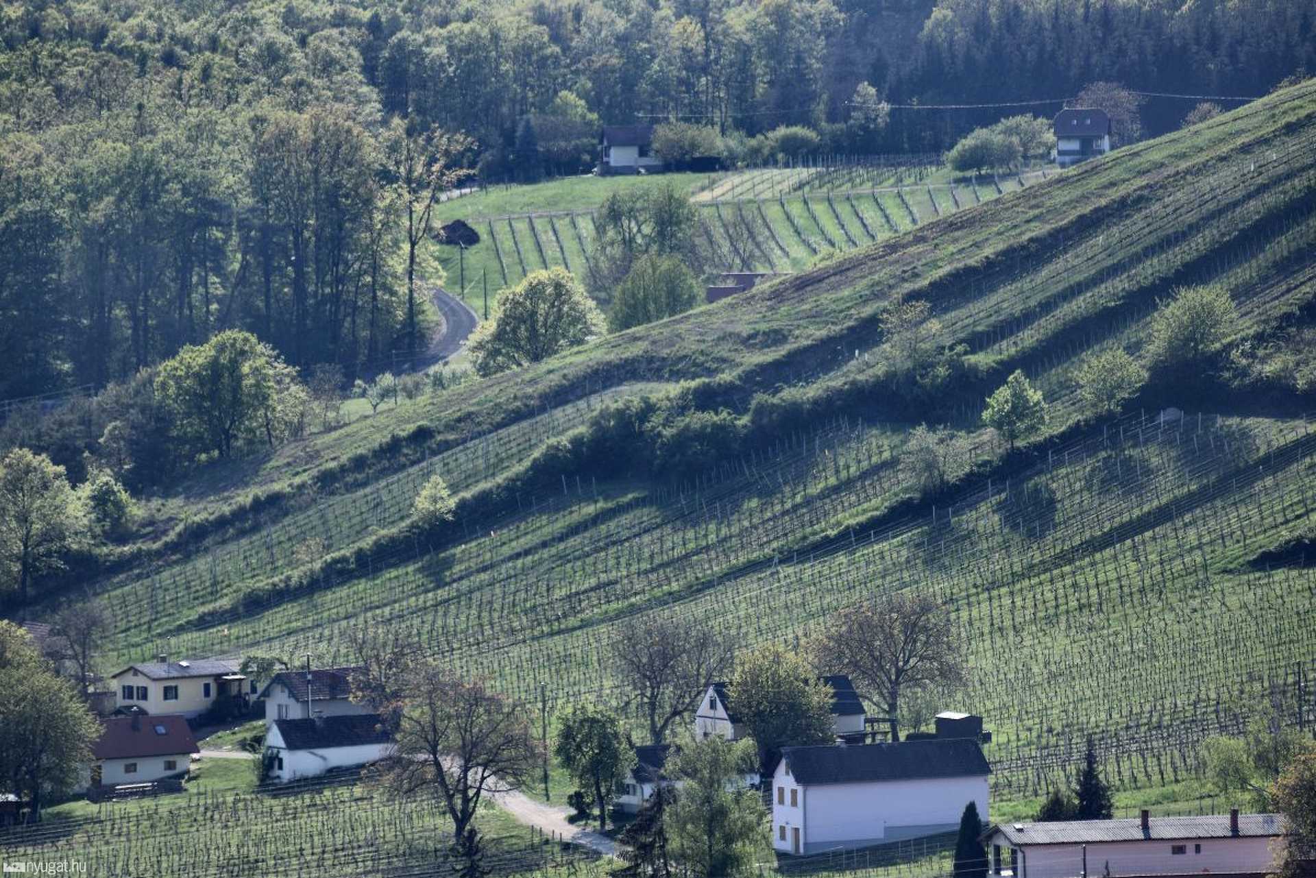Vas-hegyi kilátó az osztrák oldalon (Weinblick)