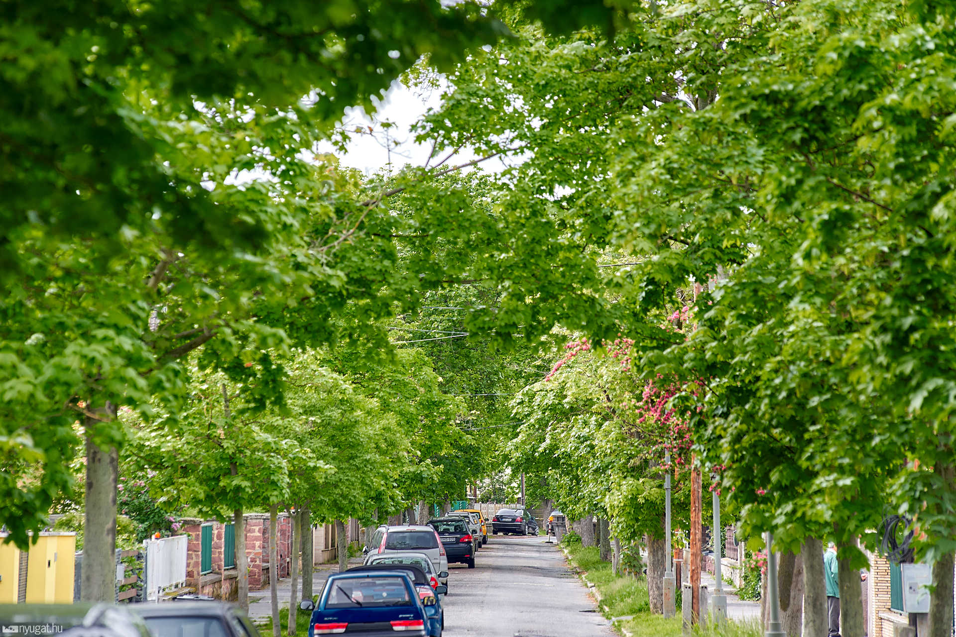 Szombathely legszebb utcái