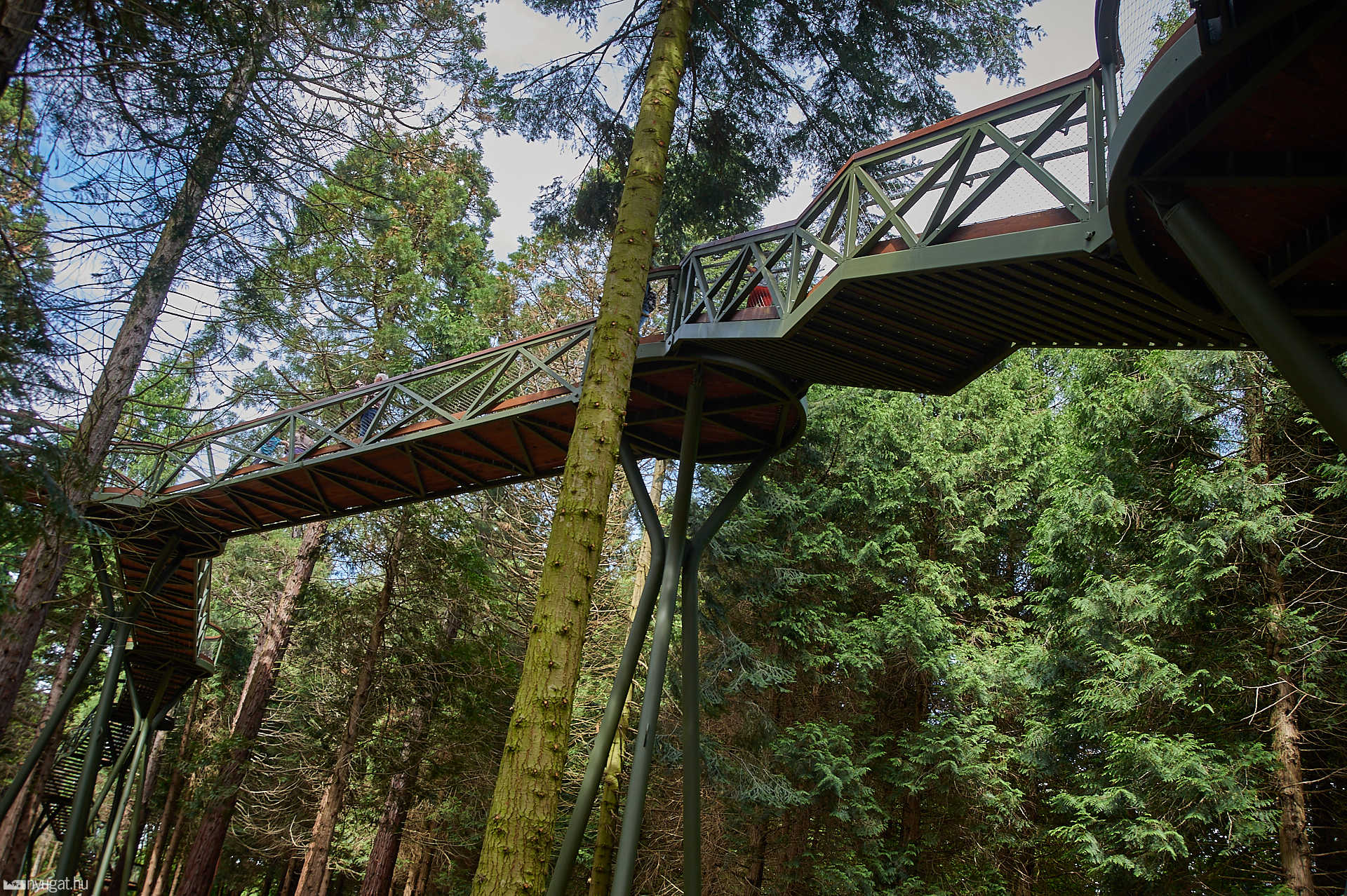 Lombkorona sétány a Jeli arborétumban