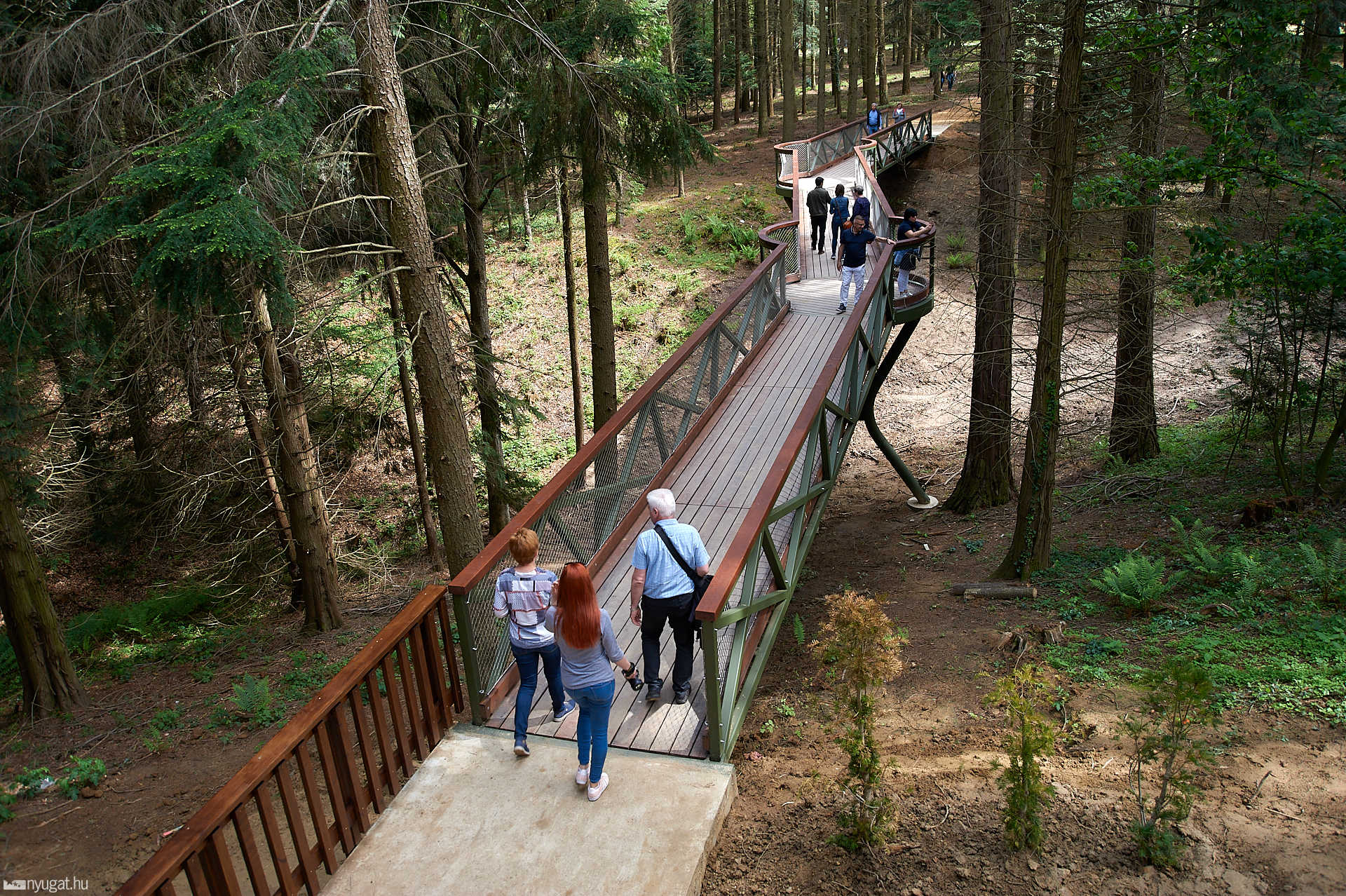 Lombkorona sétány a Jeli arborétumban