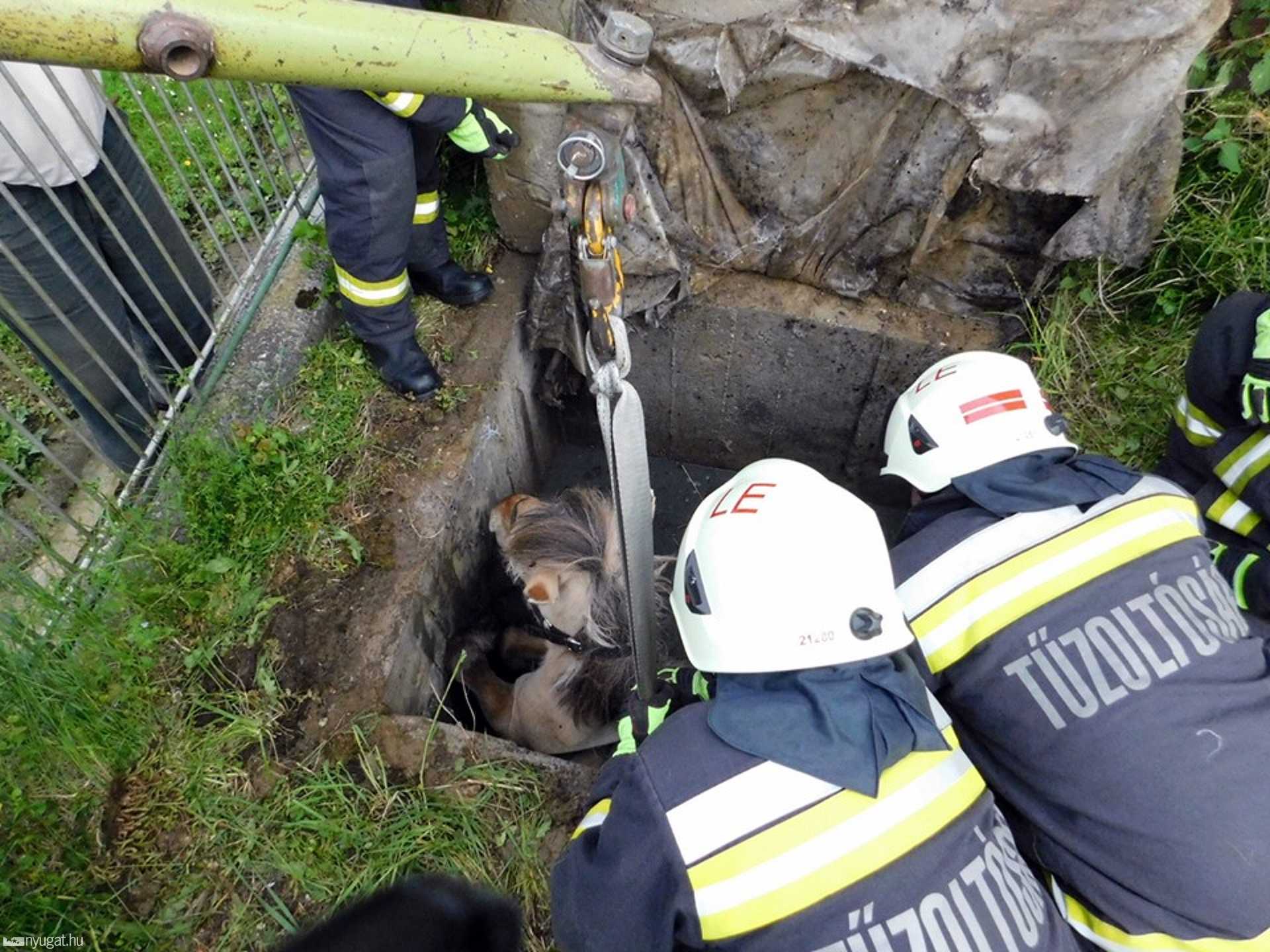 Vízaknába esett egy ló Kerkakutason
