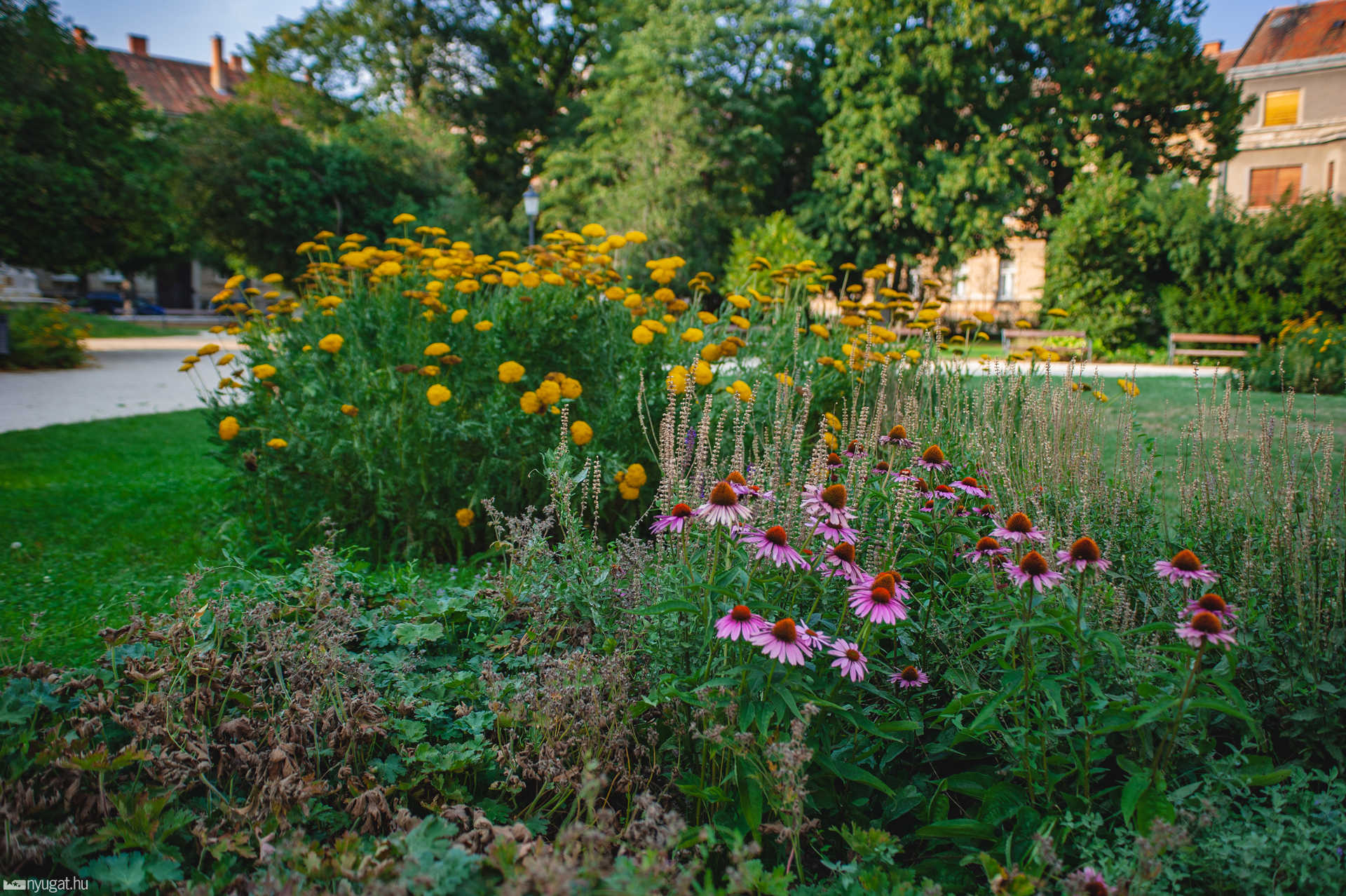 Savaria múzeum park