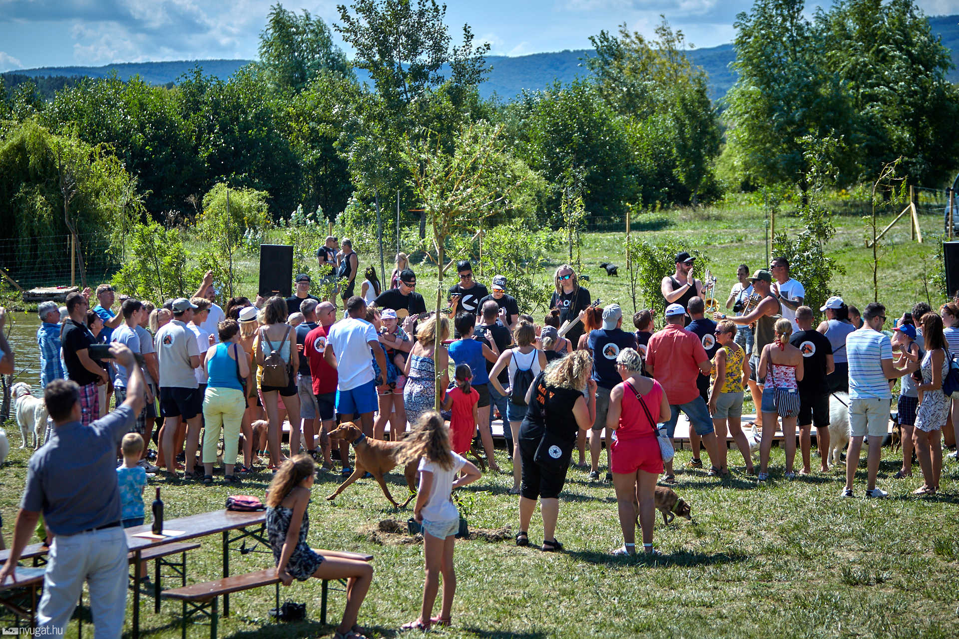 Hivatalosan is megnyílt a kutyastrand
