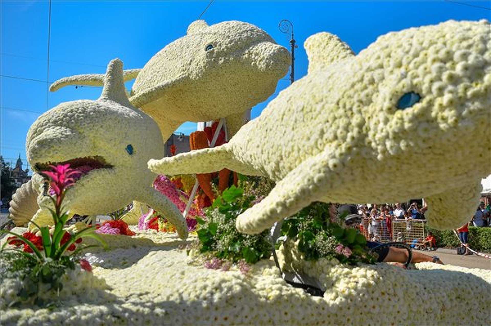 Virágkarnevál Debrecen 2019