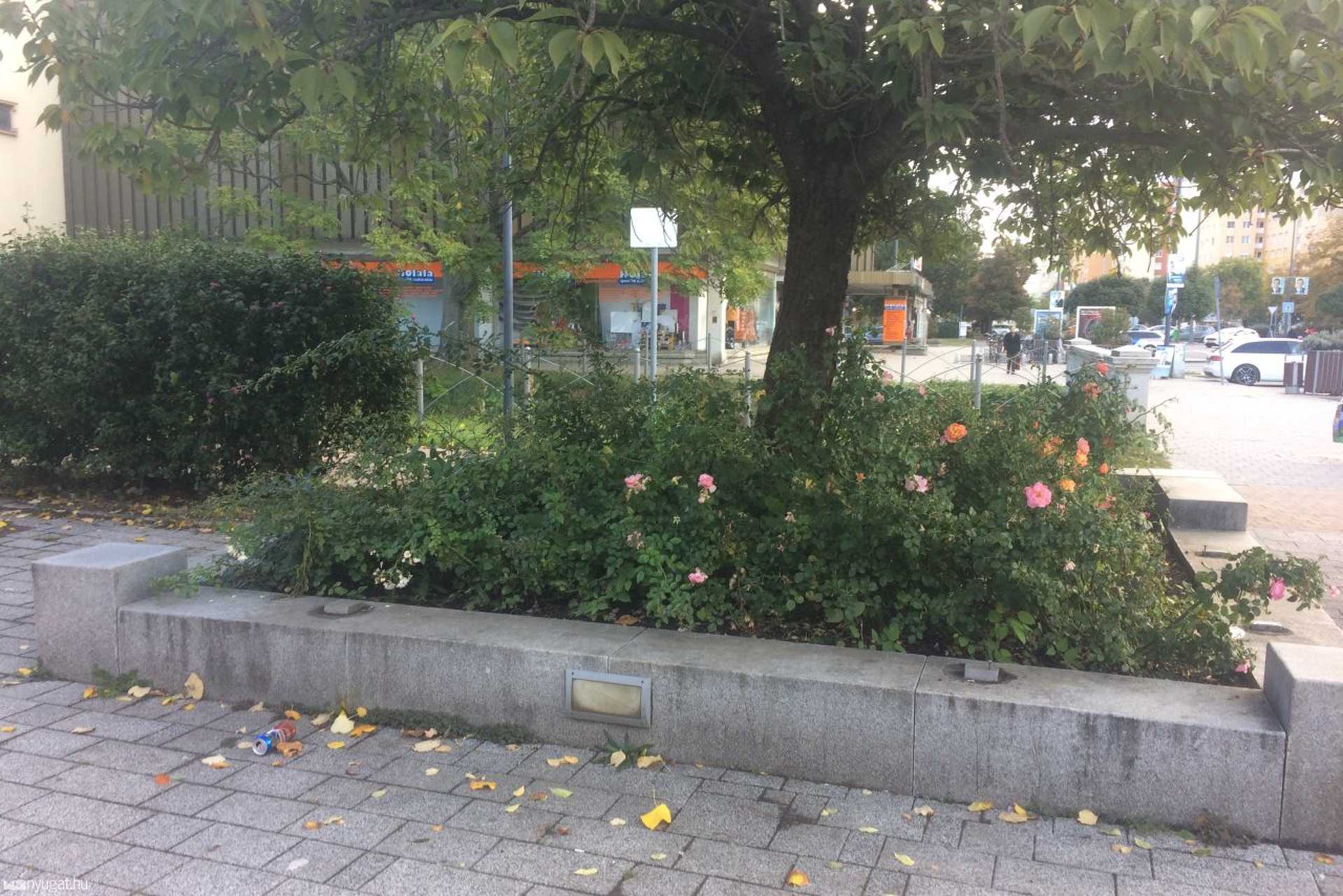 Leszerelték az ülőlapokat a Gyöngyös-parti padokról